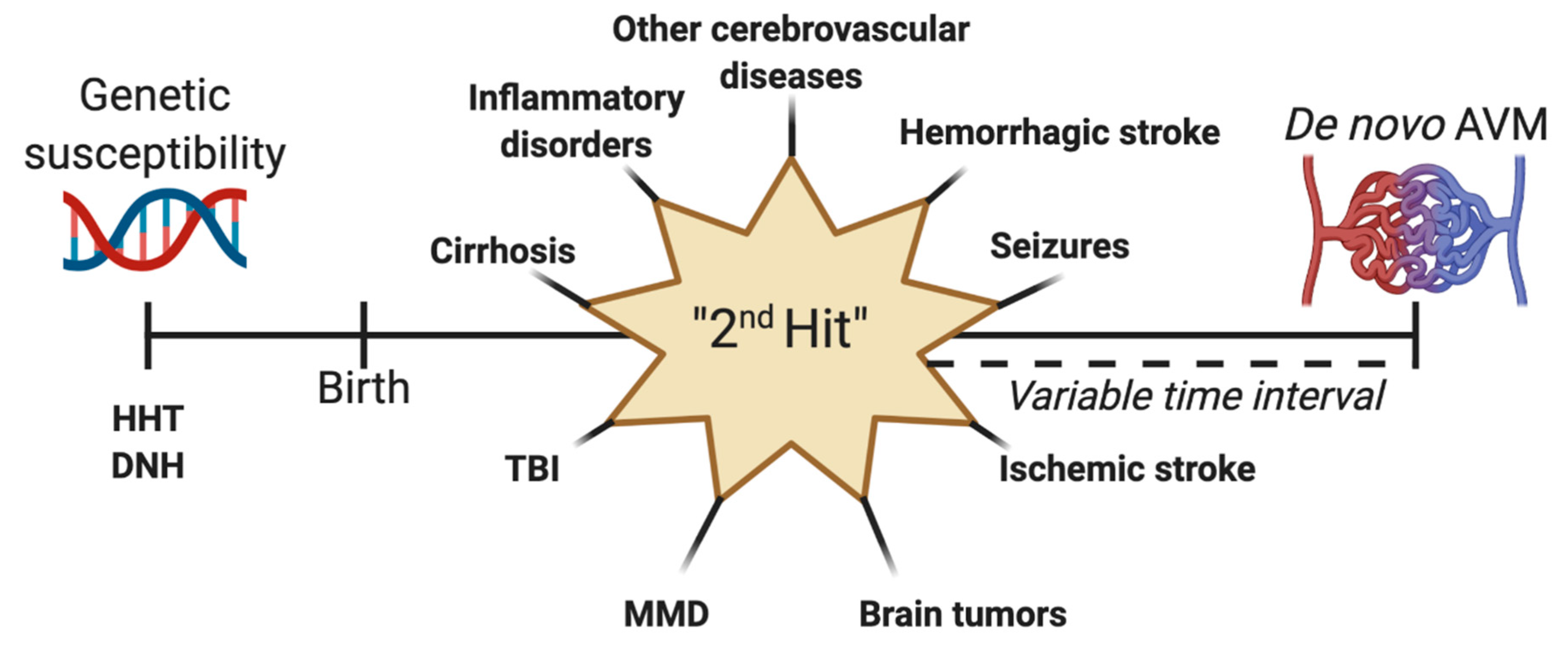 Medicina 57 00201 g005 Medicina 57 00201 g005
