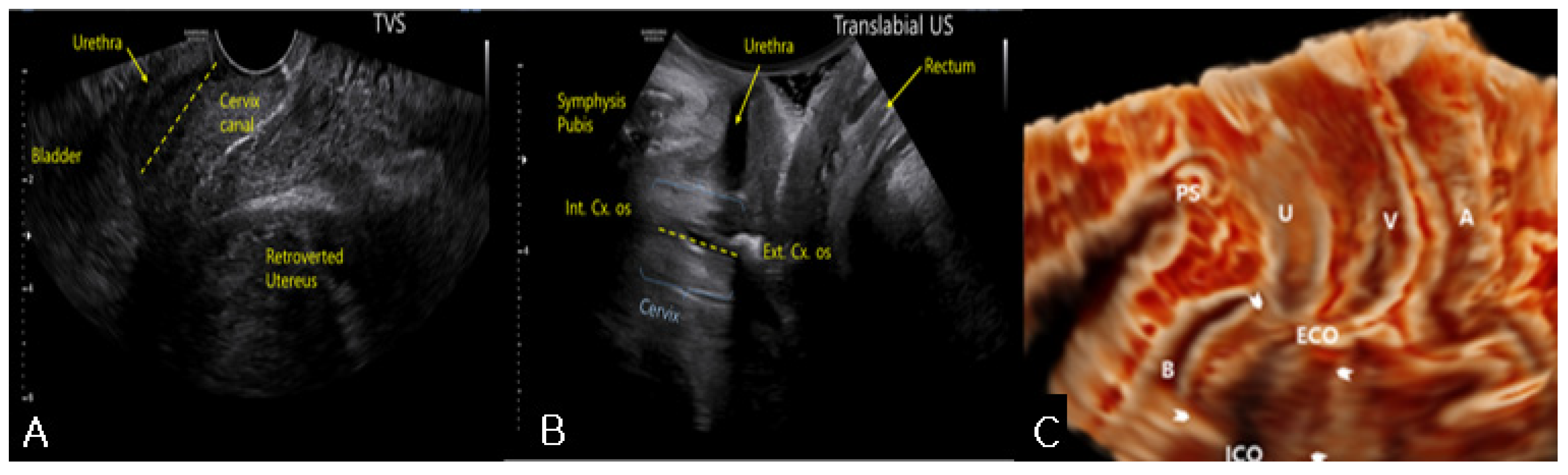 Medicina 57 00207 g001 Medicina 57 00207 g001