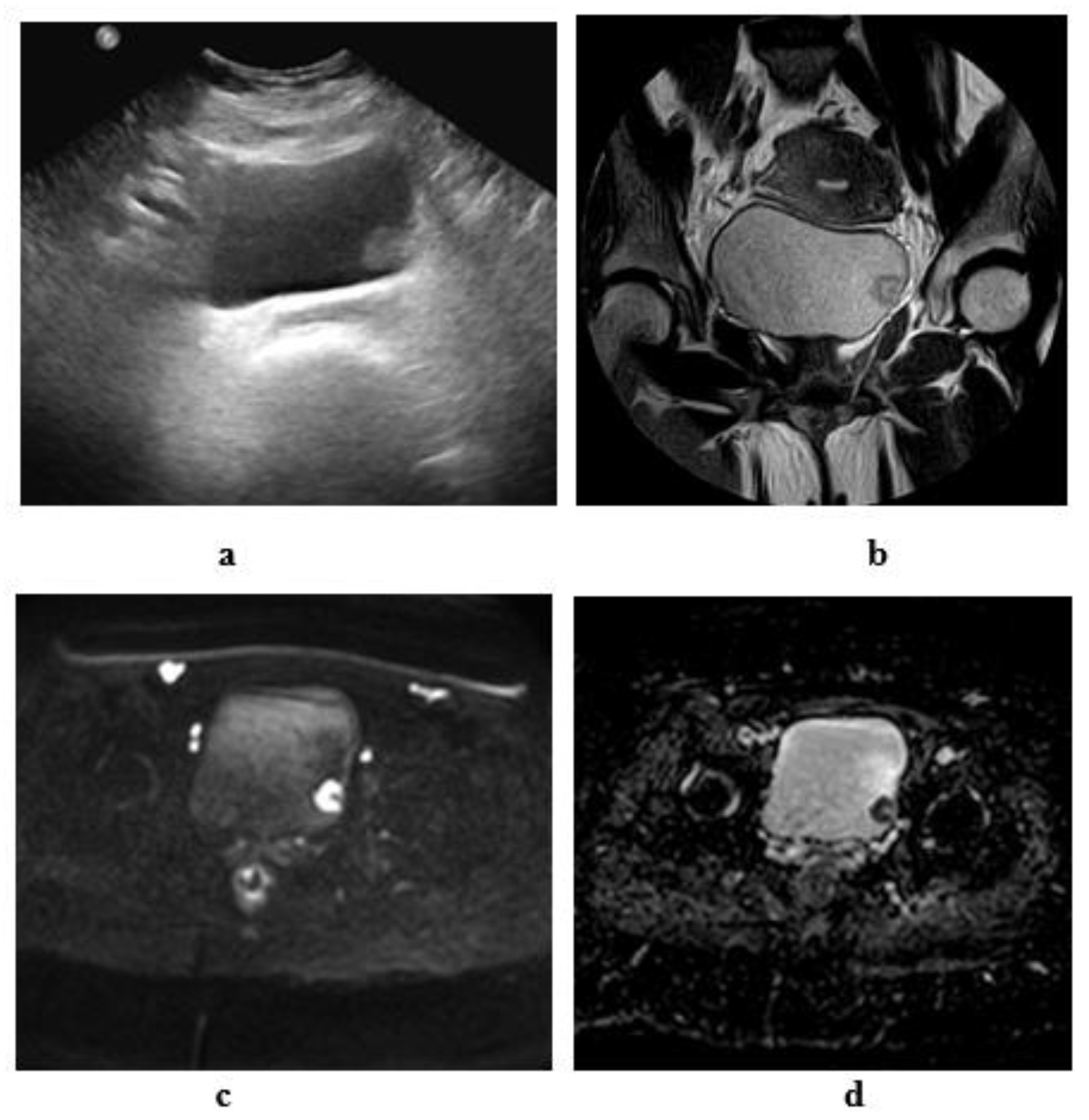 Medicina 57 00220 g008 Medicina 57 00220 g008