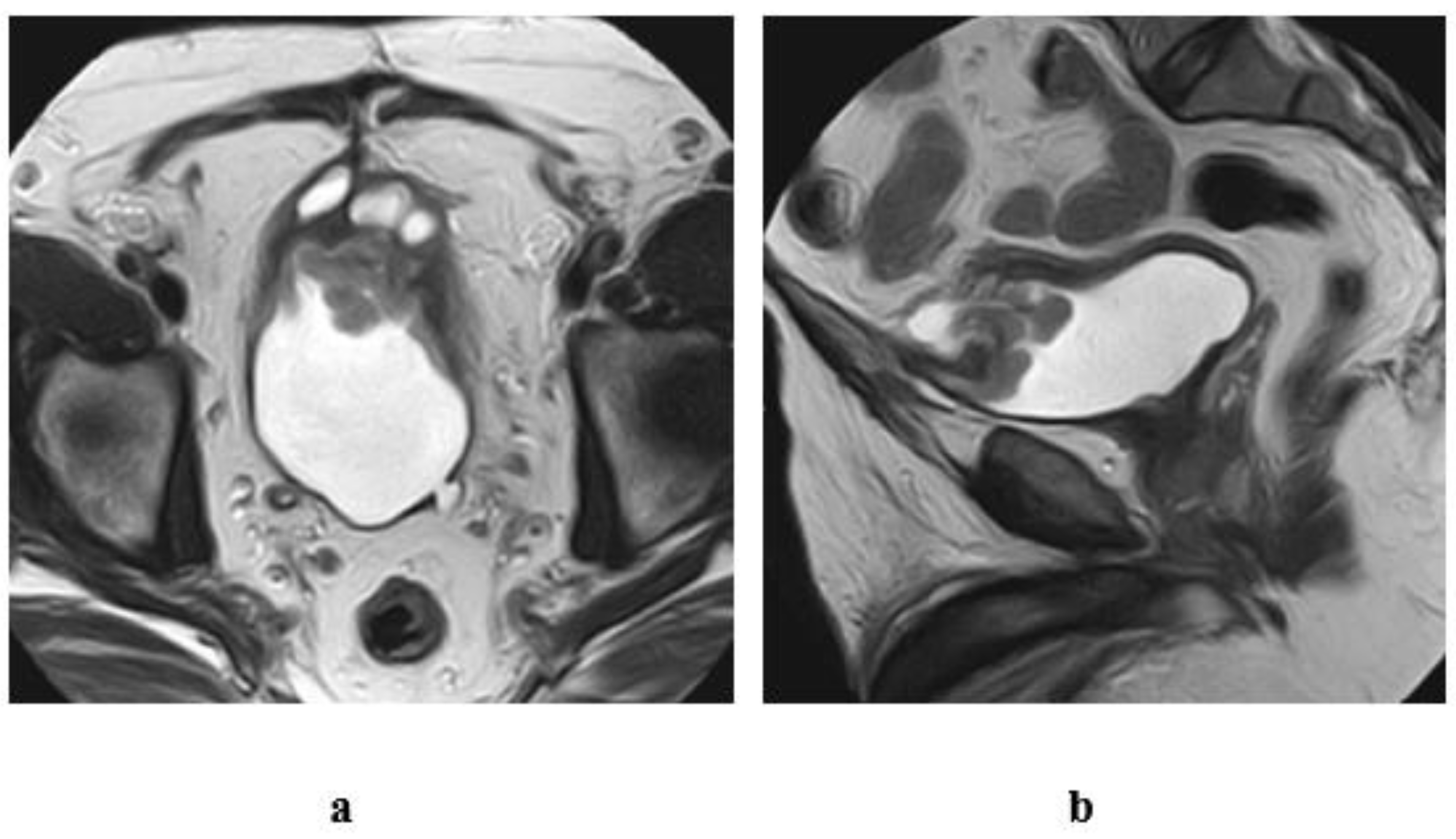 Medicina 57 00220 g012 Medicina 57 00220 g012