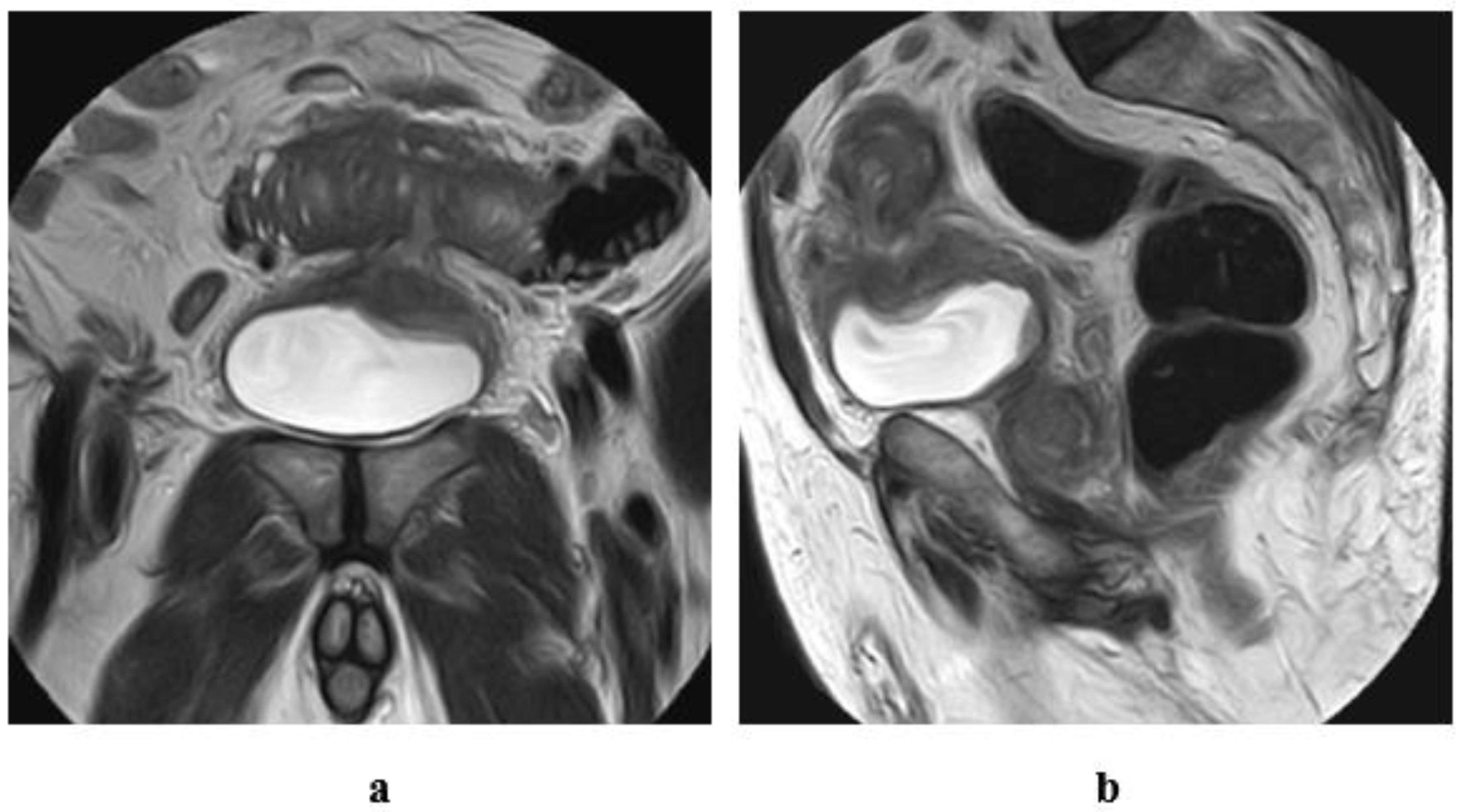 Medicina 57 00220 g013 Medicina 57 00220 g013