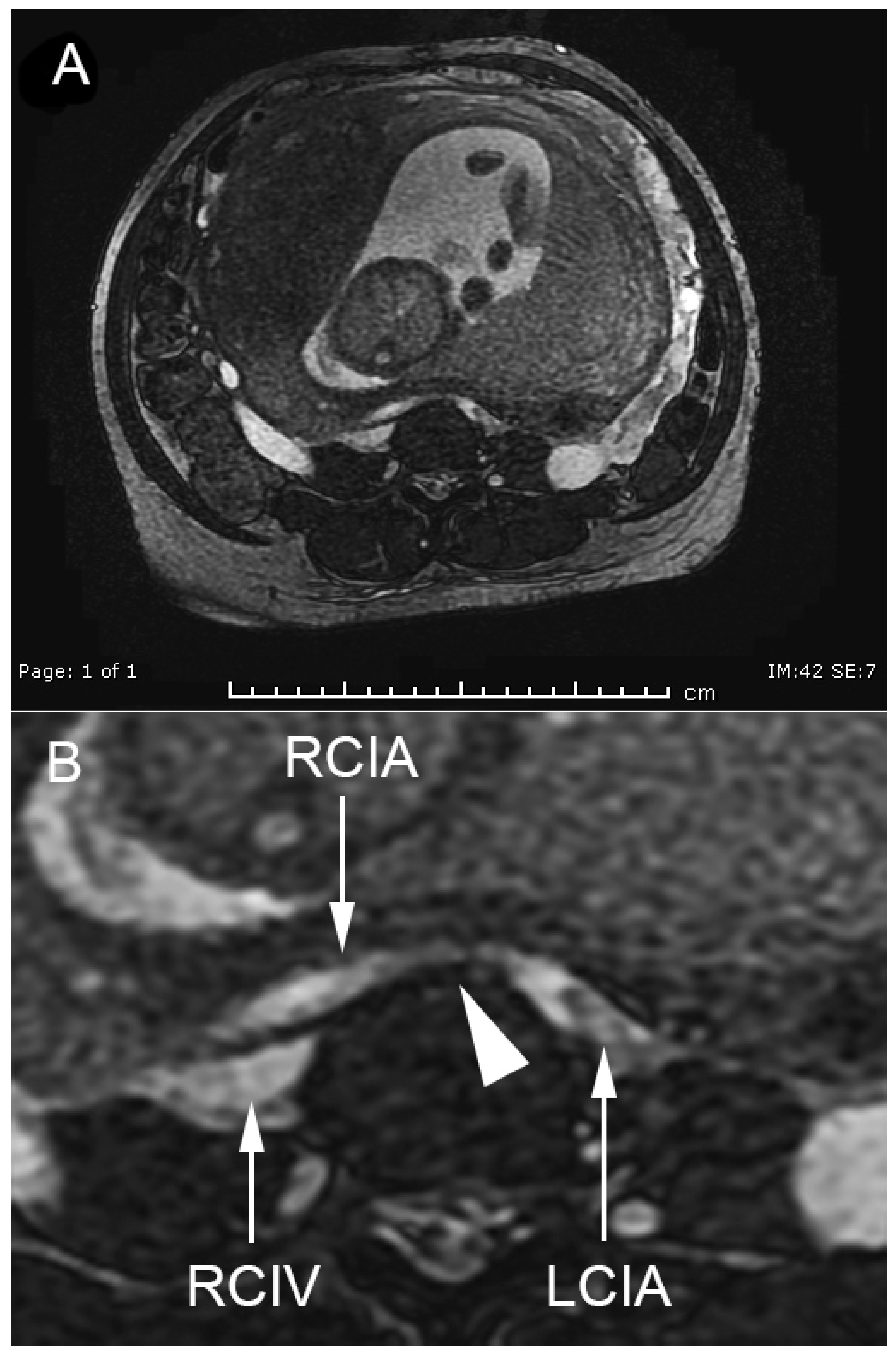 Medicina 57 00222 g001