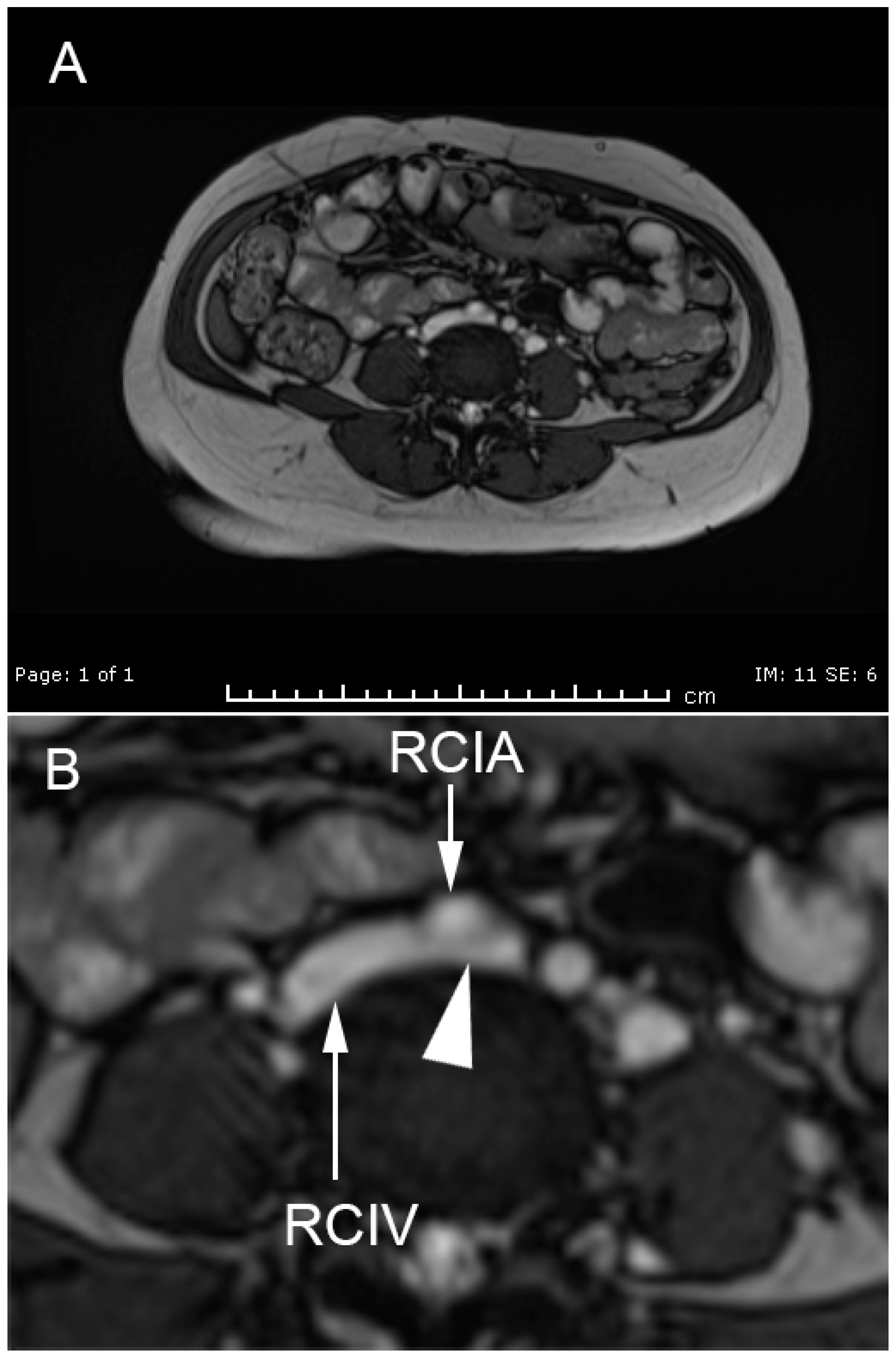 Medicina 57 00222 g002
