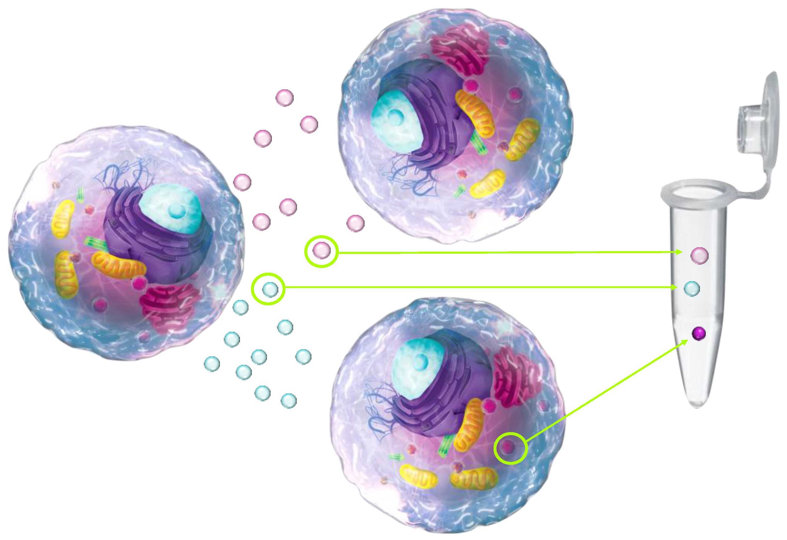 Medicina 57 00233 g001 Medicina 57 00233 g001