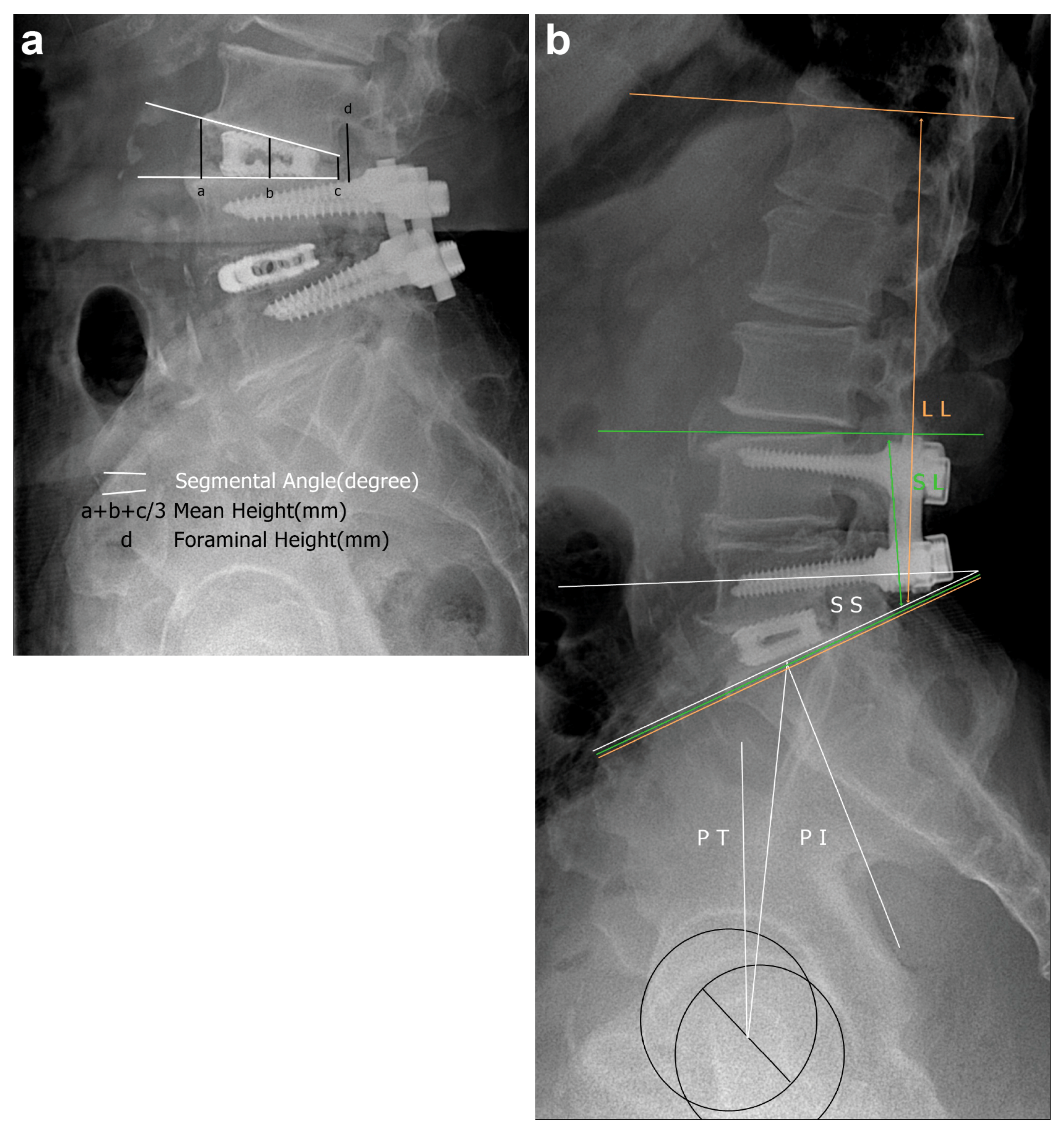 Medicina 57 00237 g002 Medicina 57 00237 g002
