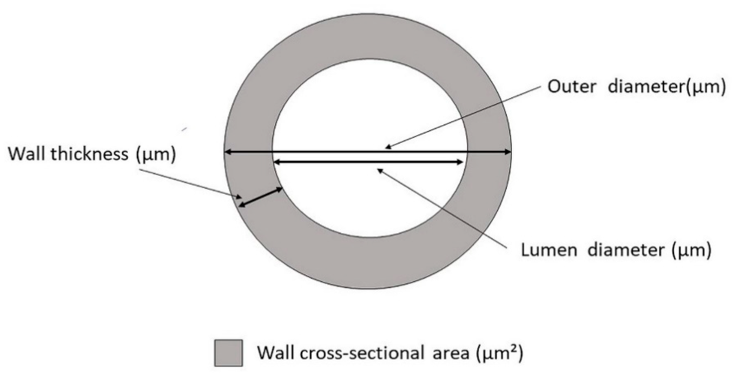 Medicina 57 00244 g002