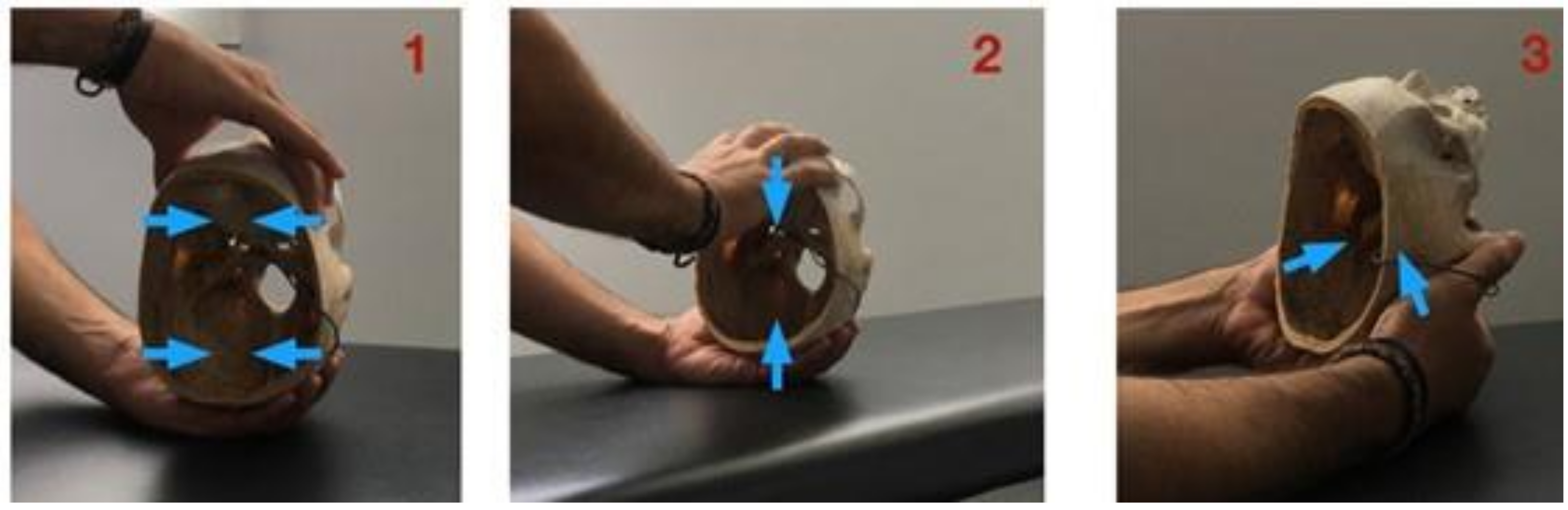 Medicina 57 00246 g002