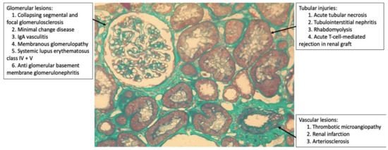 Medicina 57 00258 g001 550