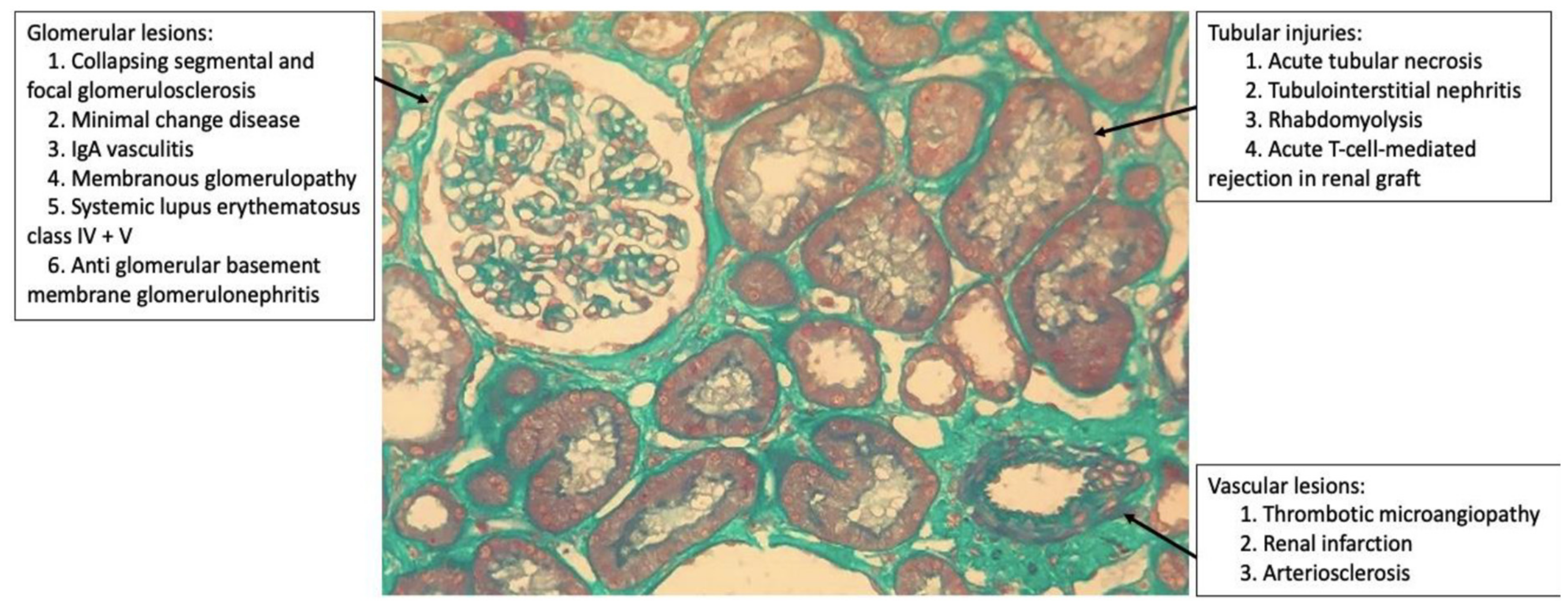 Medicina 57 00258 g001