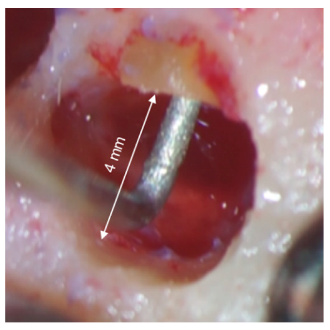 Medicina 57 00270 g011 Medicina 57 00270 g011