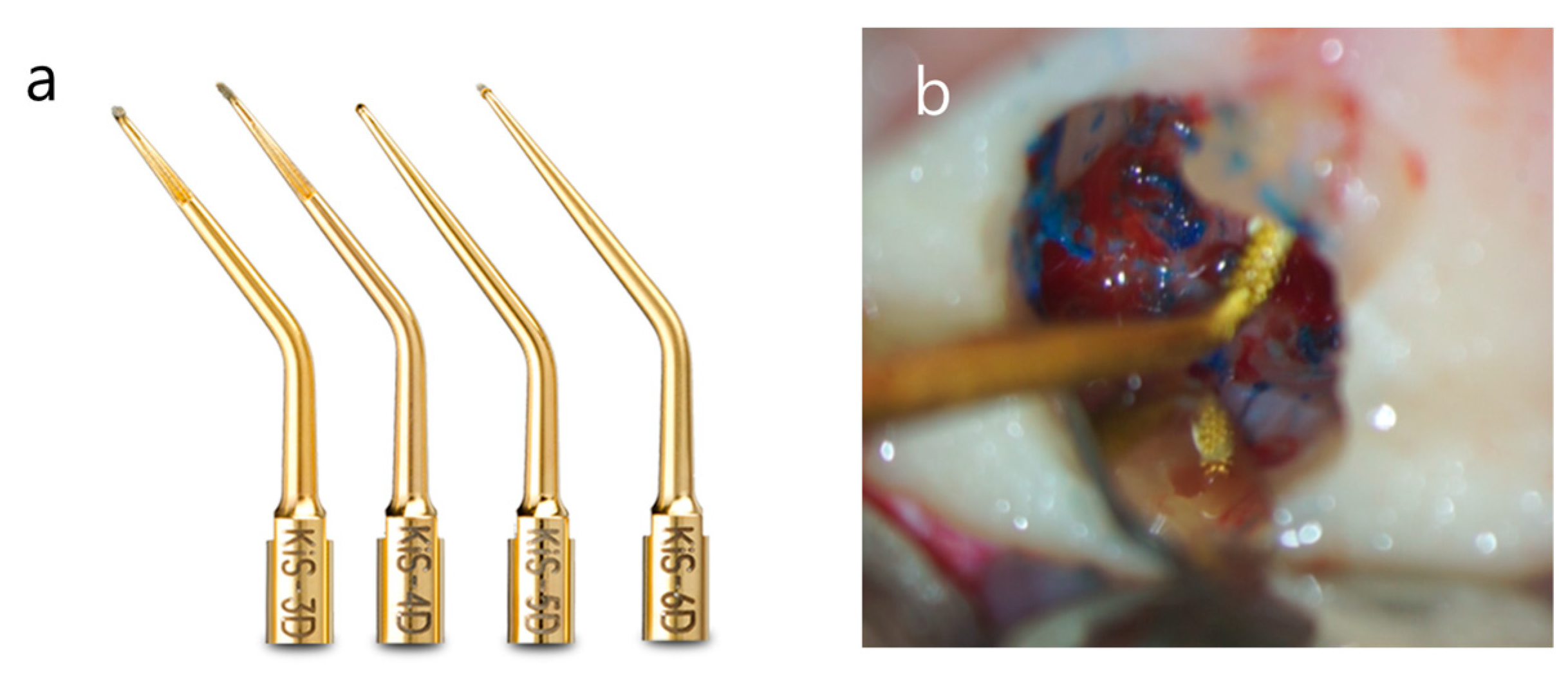 Medicina 57 00270 g017 Medicina 57 00270 g017