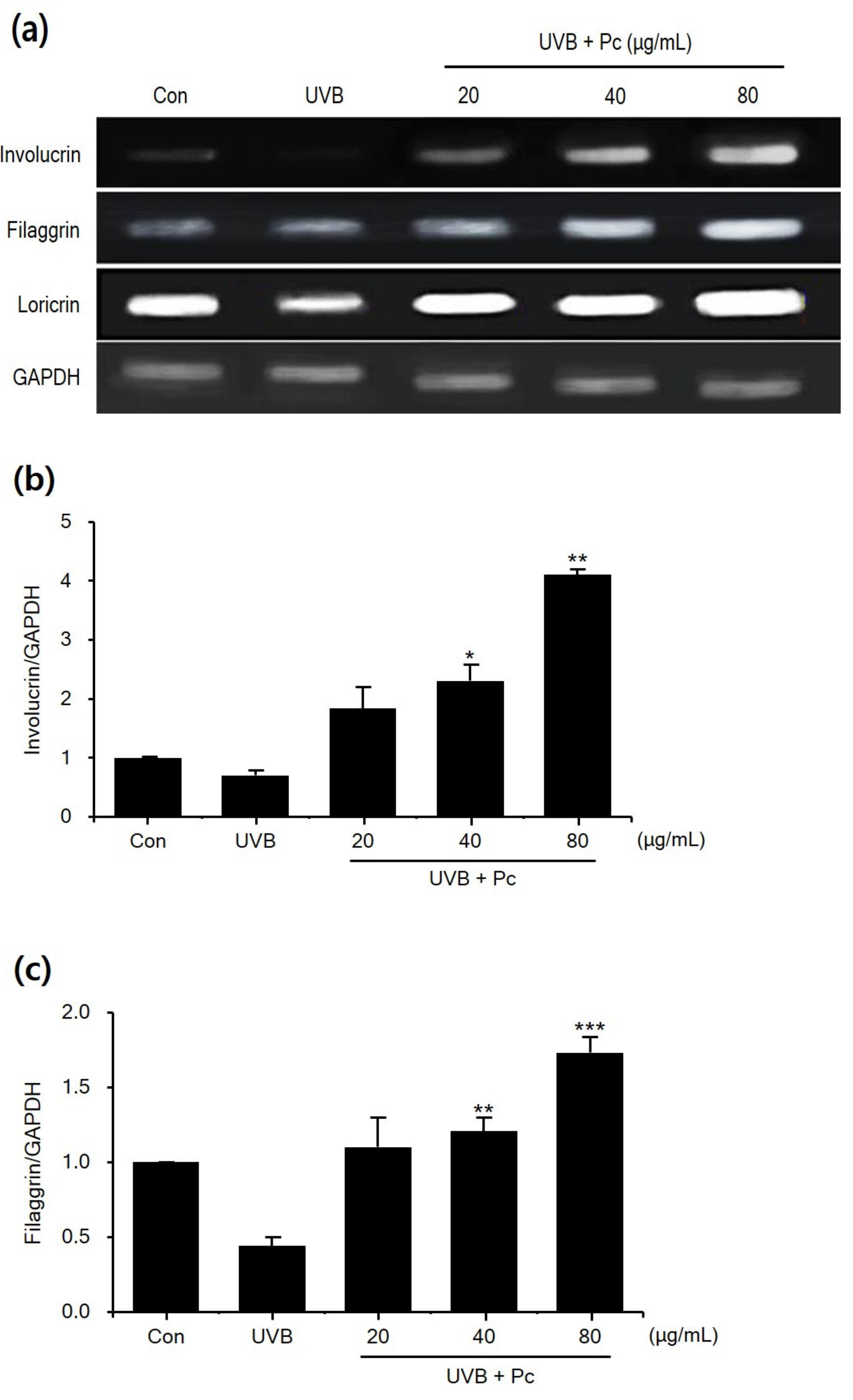 Medicina 57 00273 g004a Medicina 57 00273 g004a