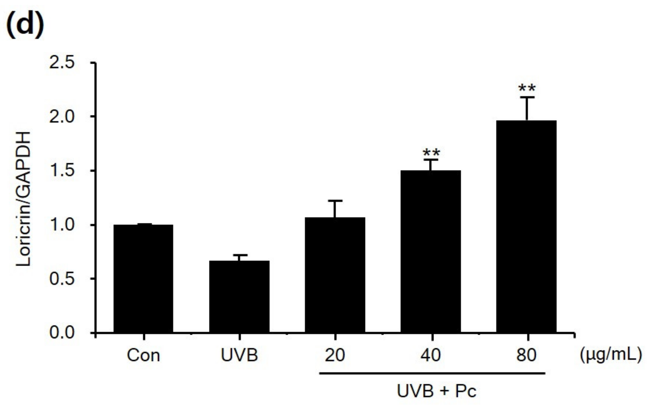 Medicina 57 00273 g004b Medicina 57 00273 g004b