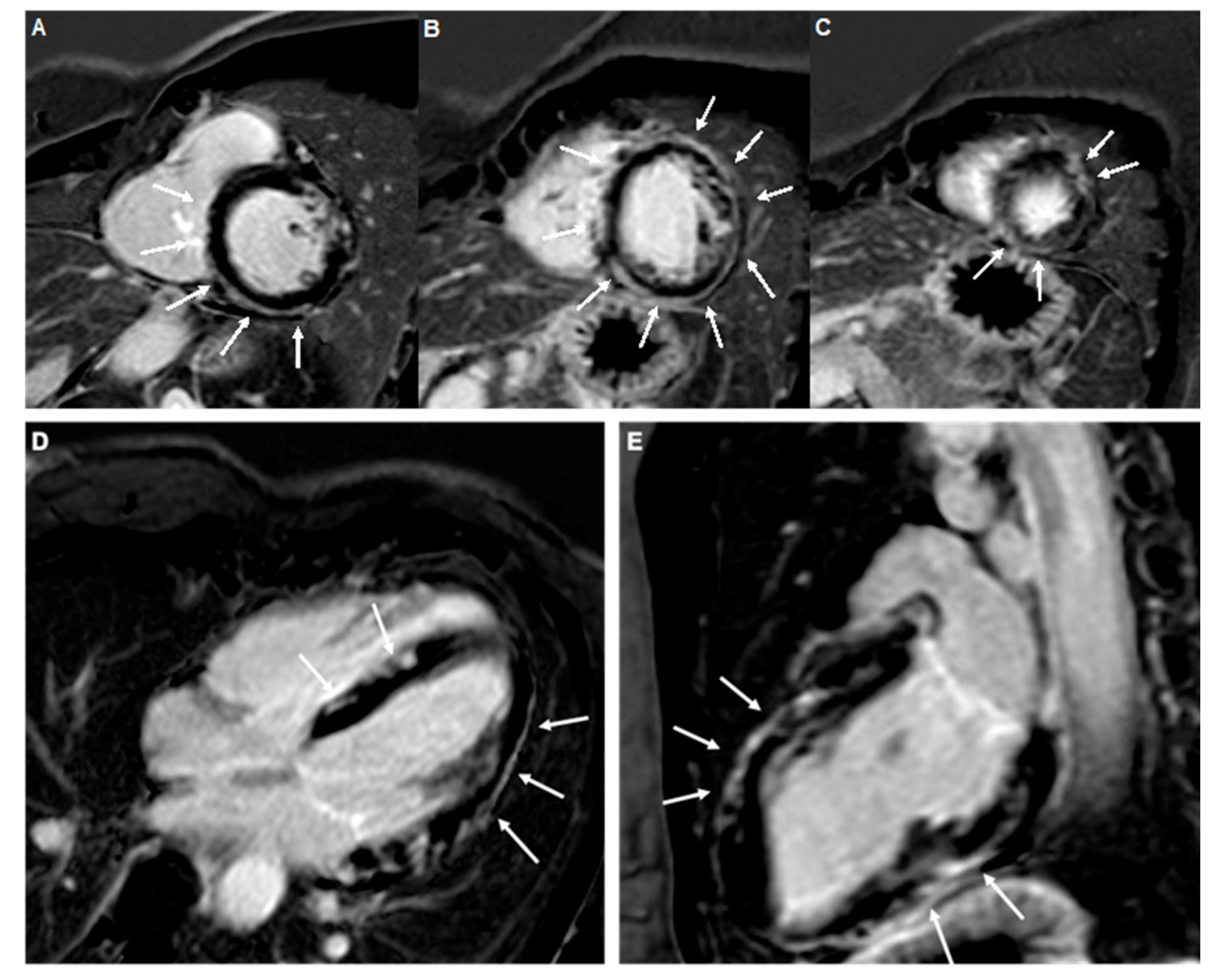 Medicina 57 00277 g001