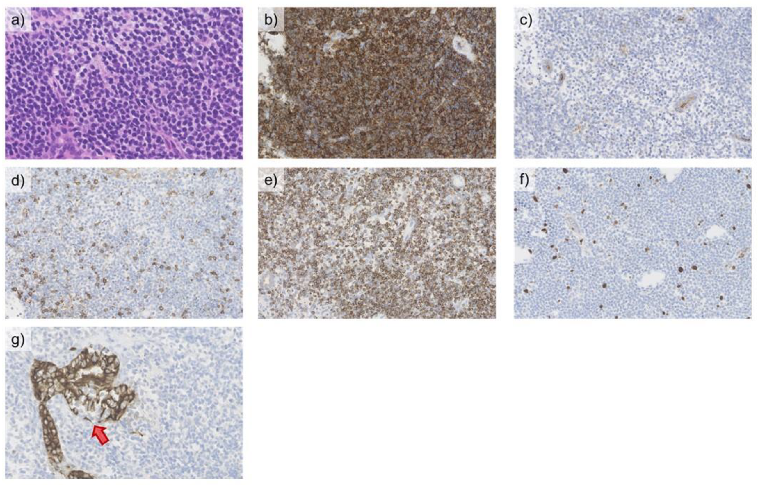 Medicina 57 00280 g005