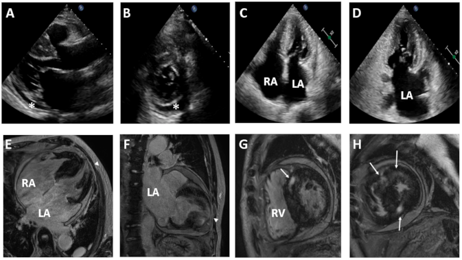Medicina 57 00281 g001