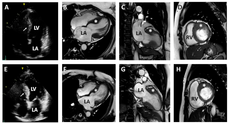 Medicina 57 00281 g002