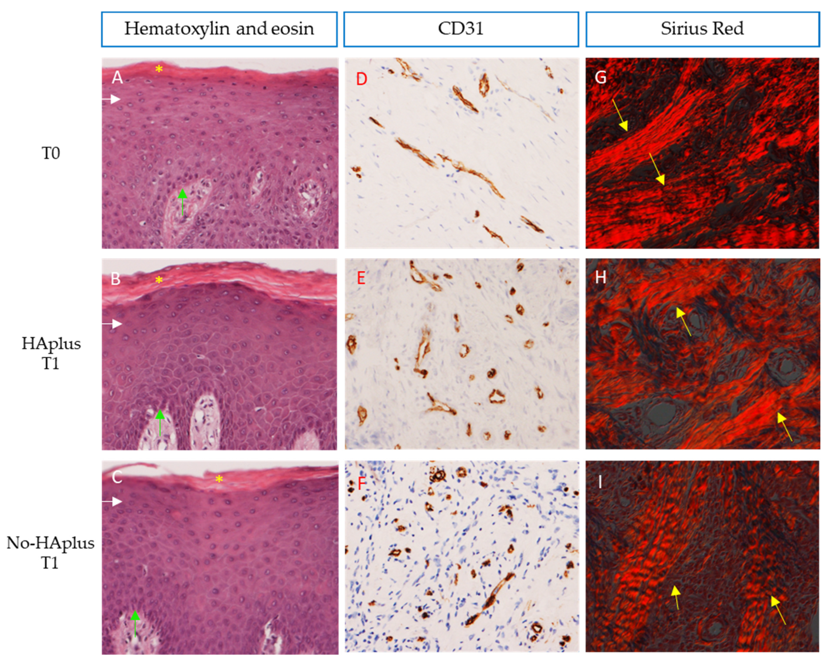 Medicina 57 00285 g002 Medicina 57 00285 g002