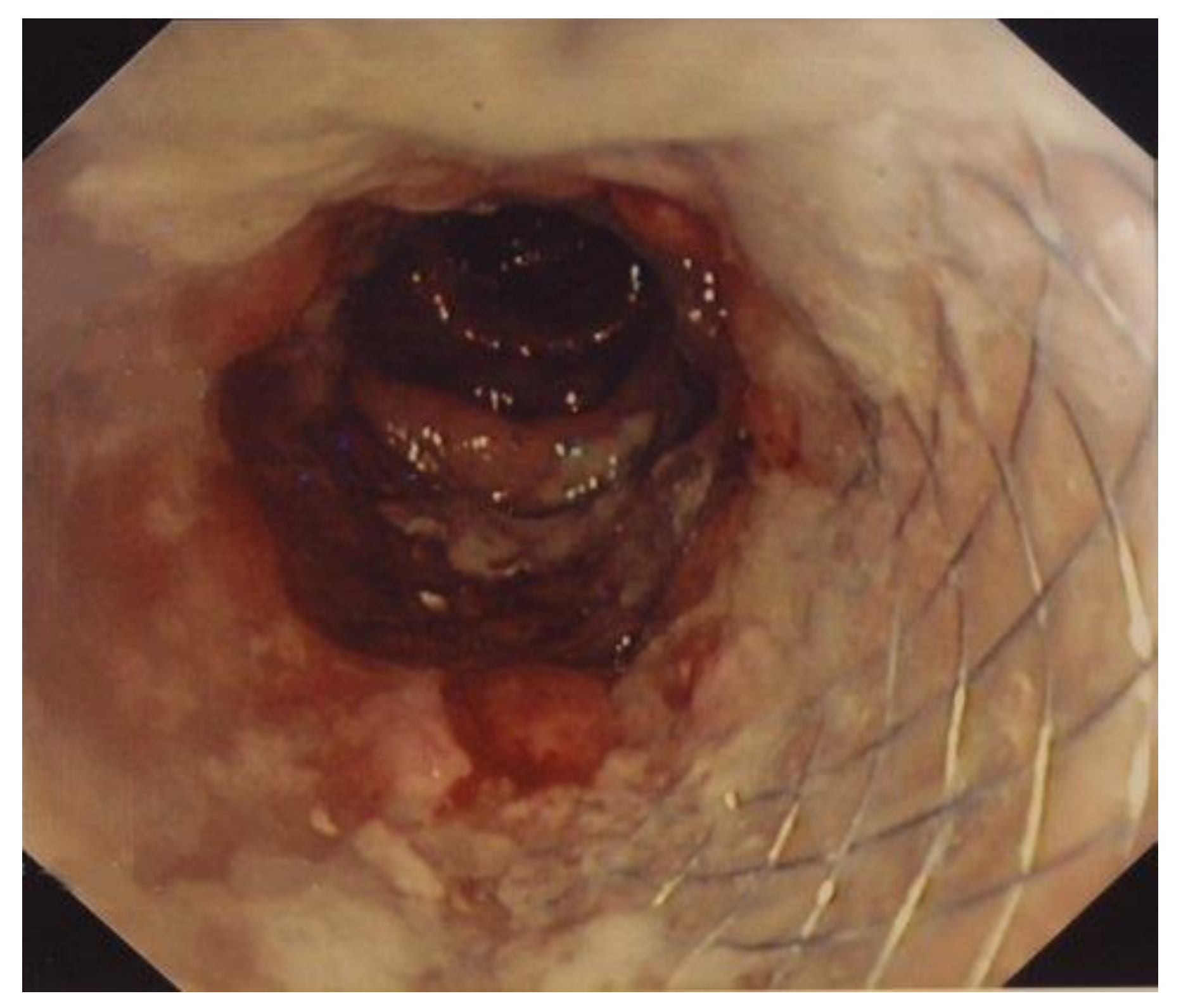 Medicina 57 00299 g002