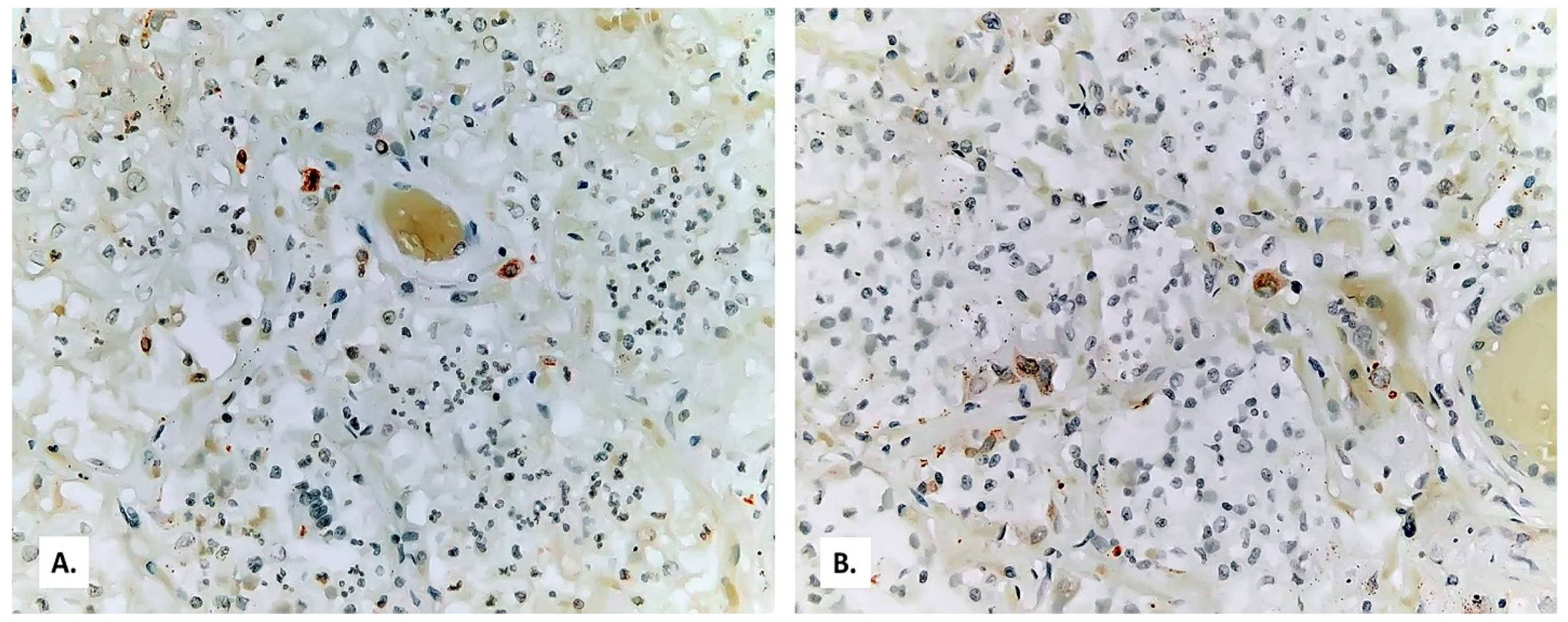 Medicina 57 00302 g009