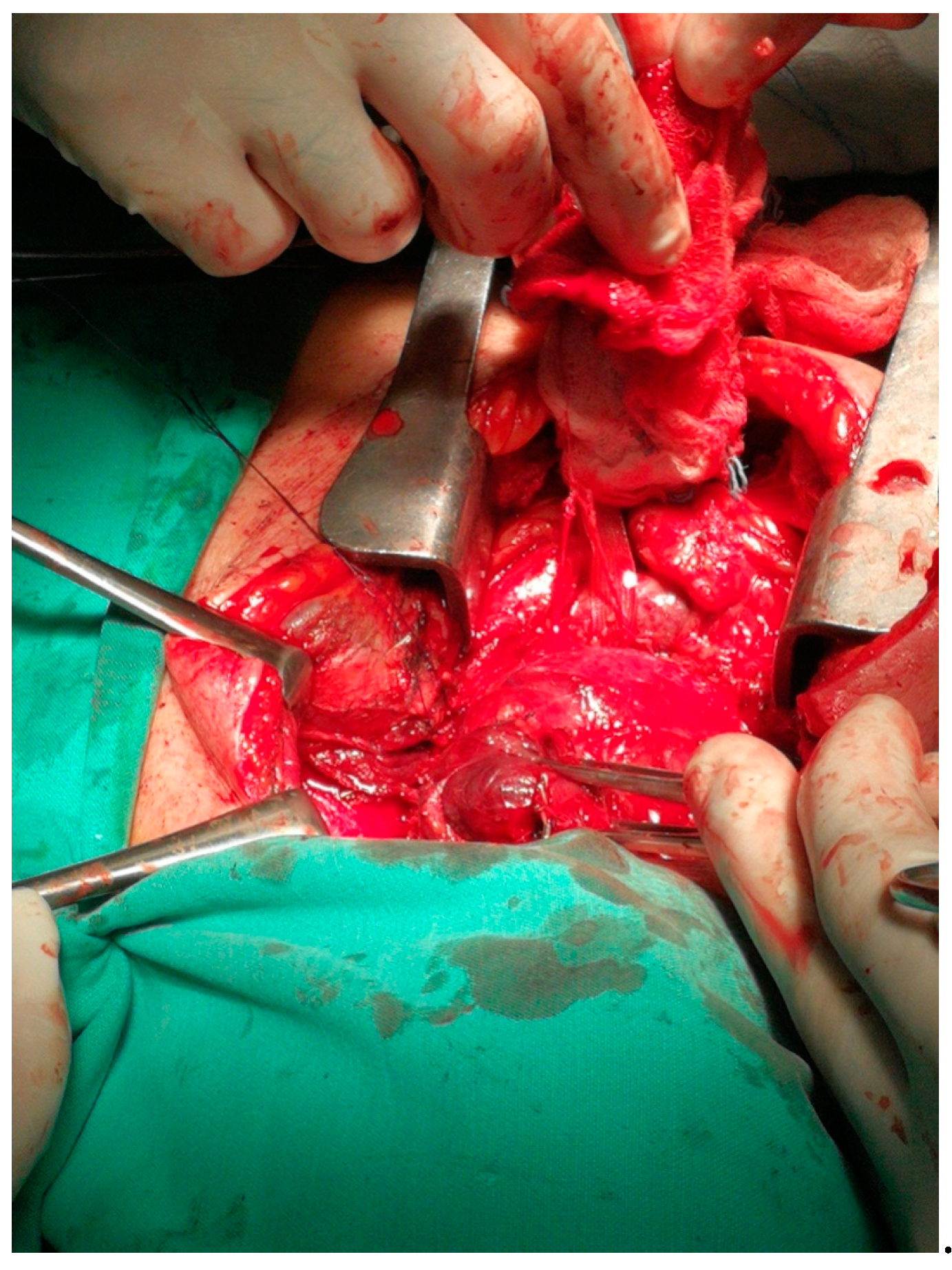 Medicina 57 00303 g003