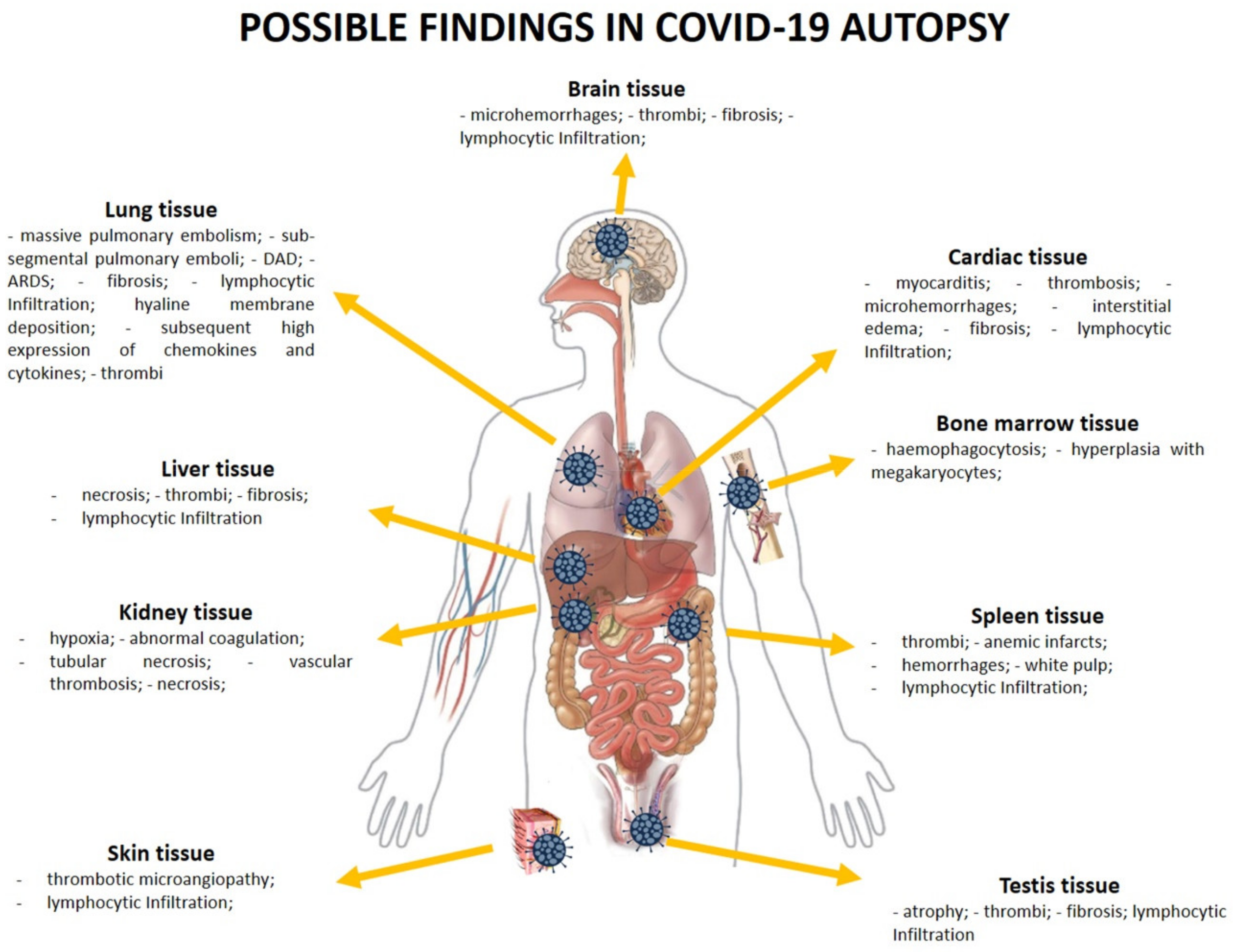 Medicina 57 00309 g002