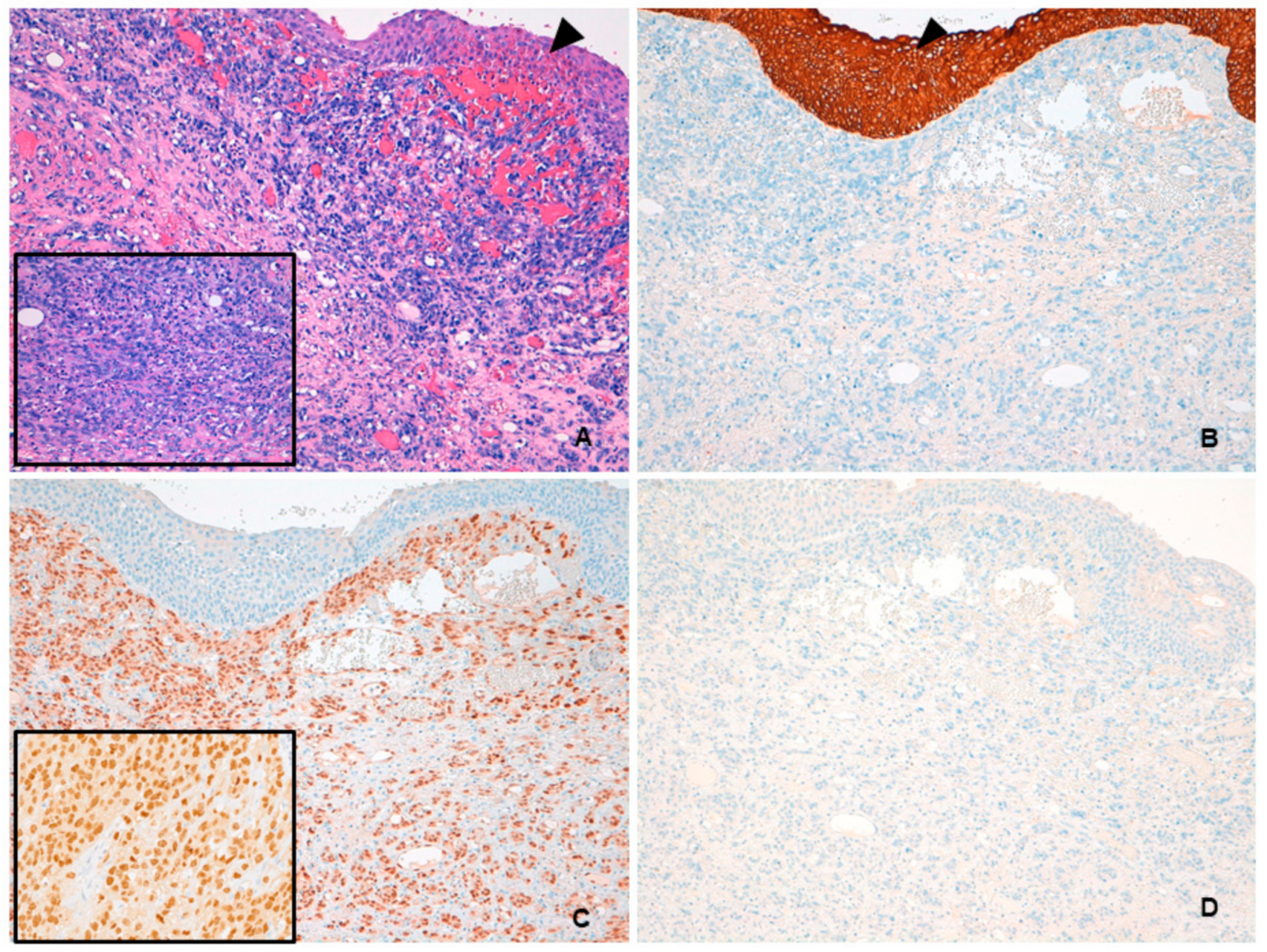 Medicina 57 00329 g001 Medicina 57 00329 g001