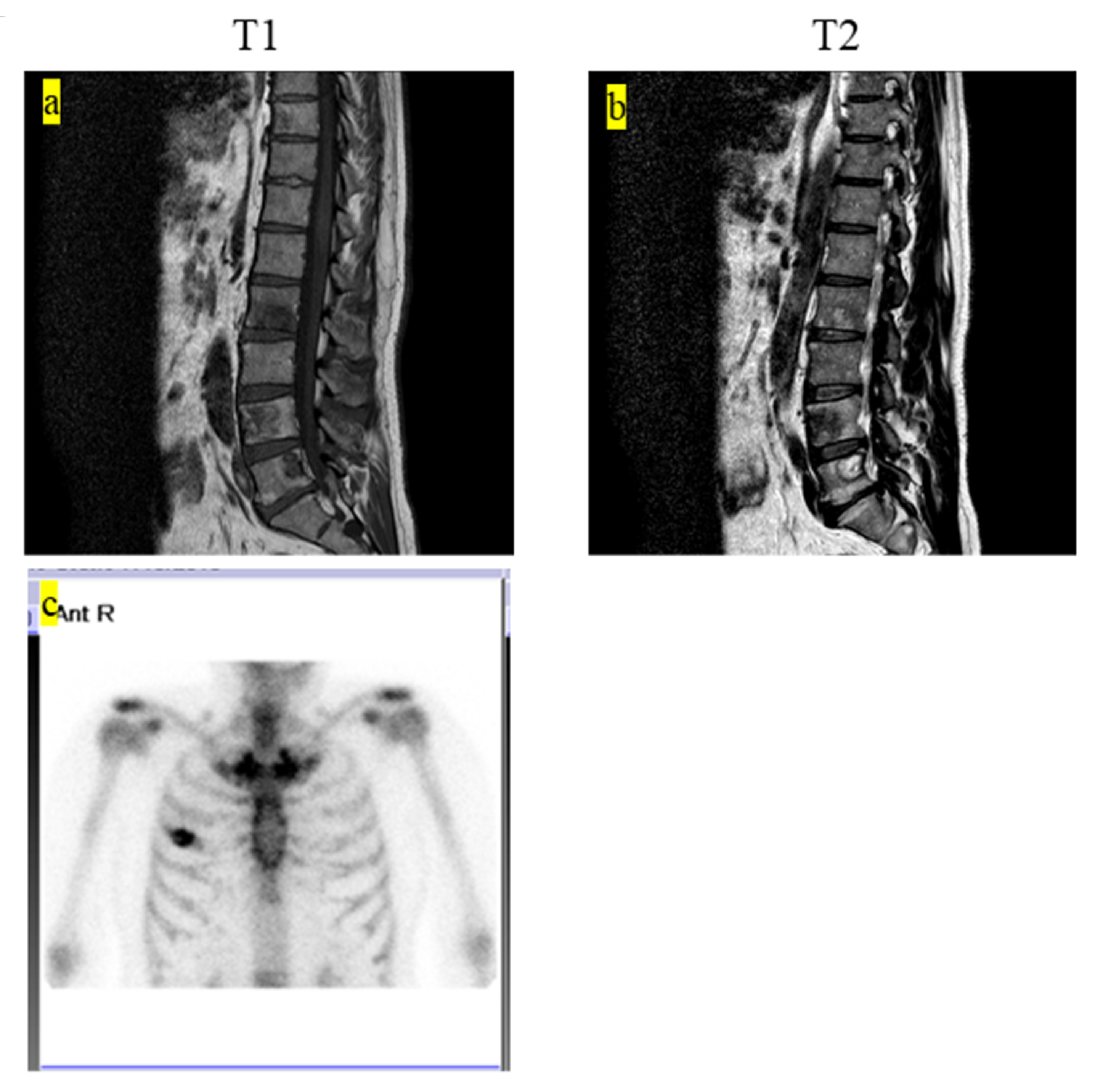 Medicina 57 00356 g001