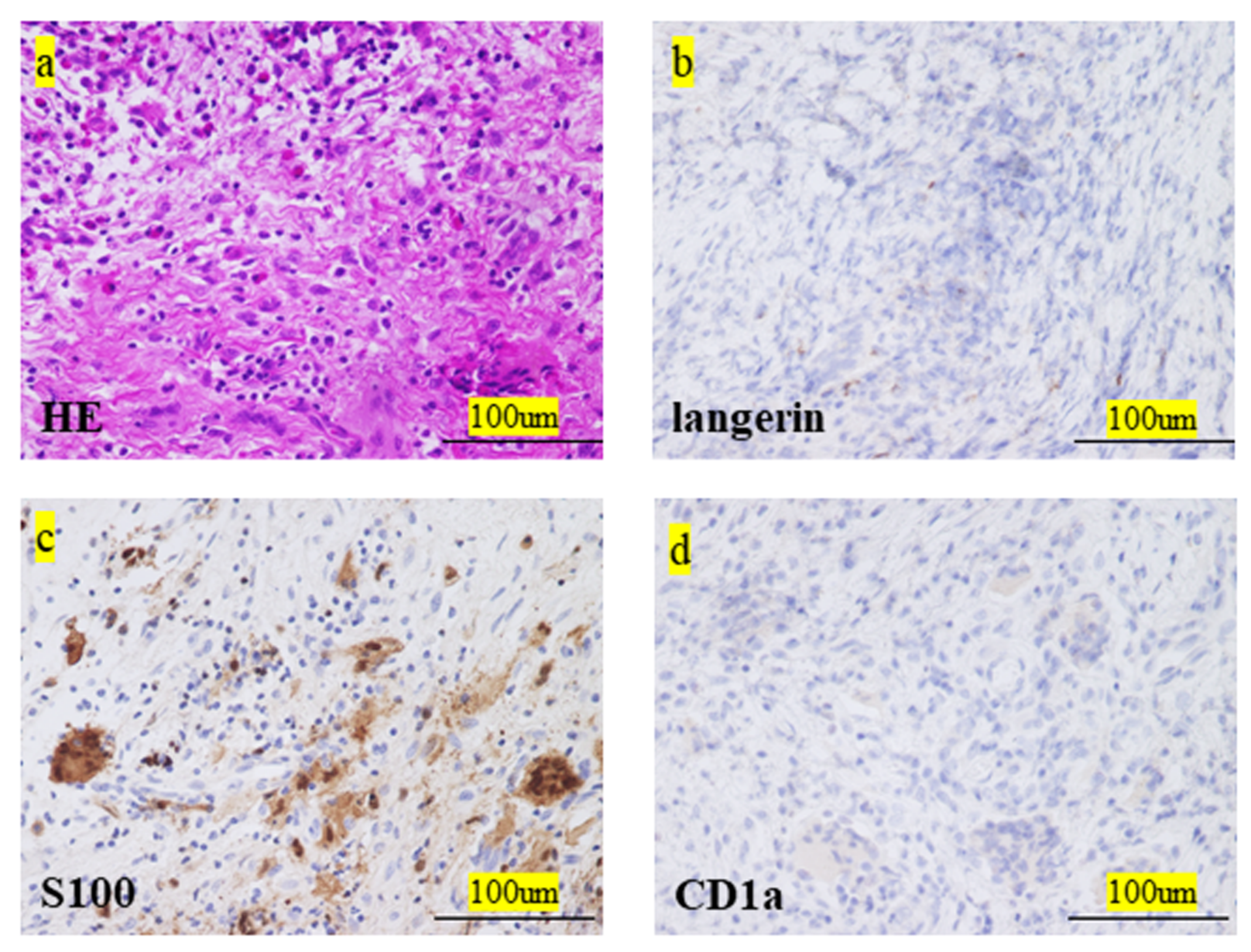 Medicina 57 00356 g003