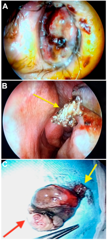 Medicina 57 00359 g003