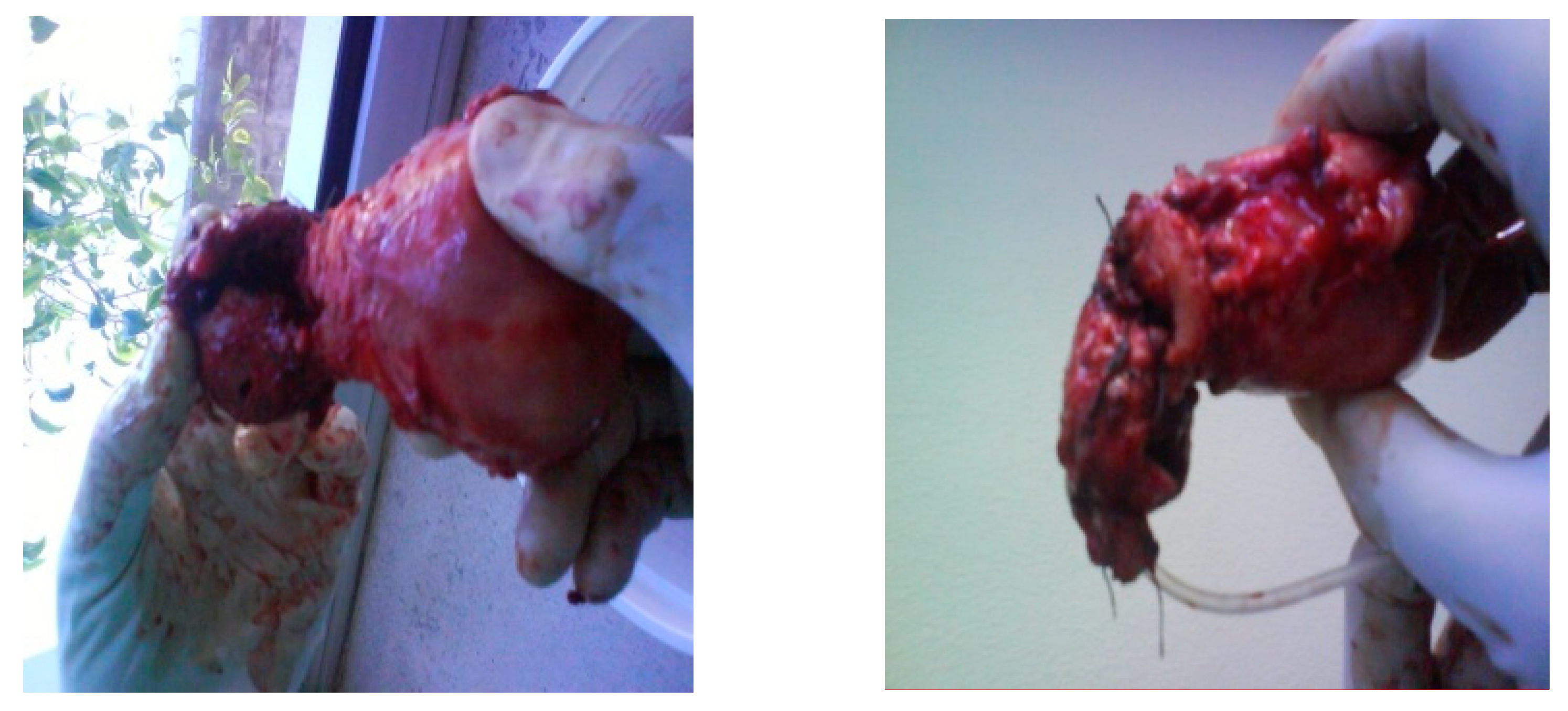 Medicina 57 00362 g007