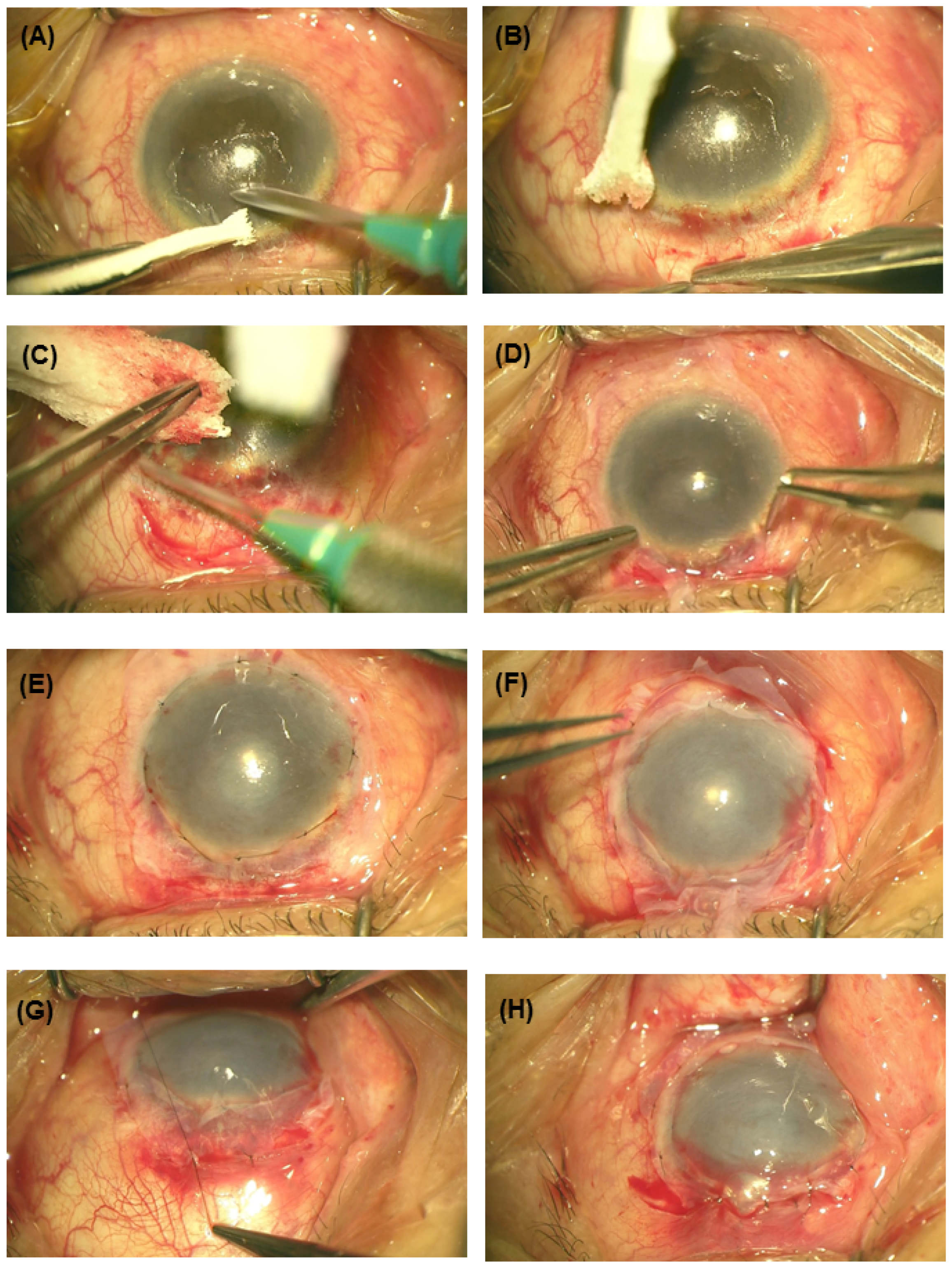 Medicina 57 00369 g001