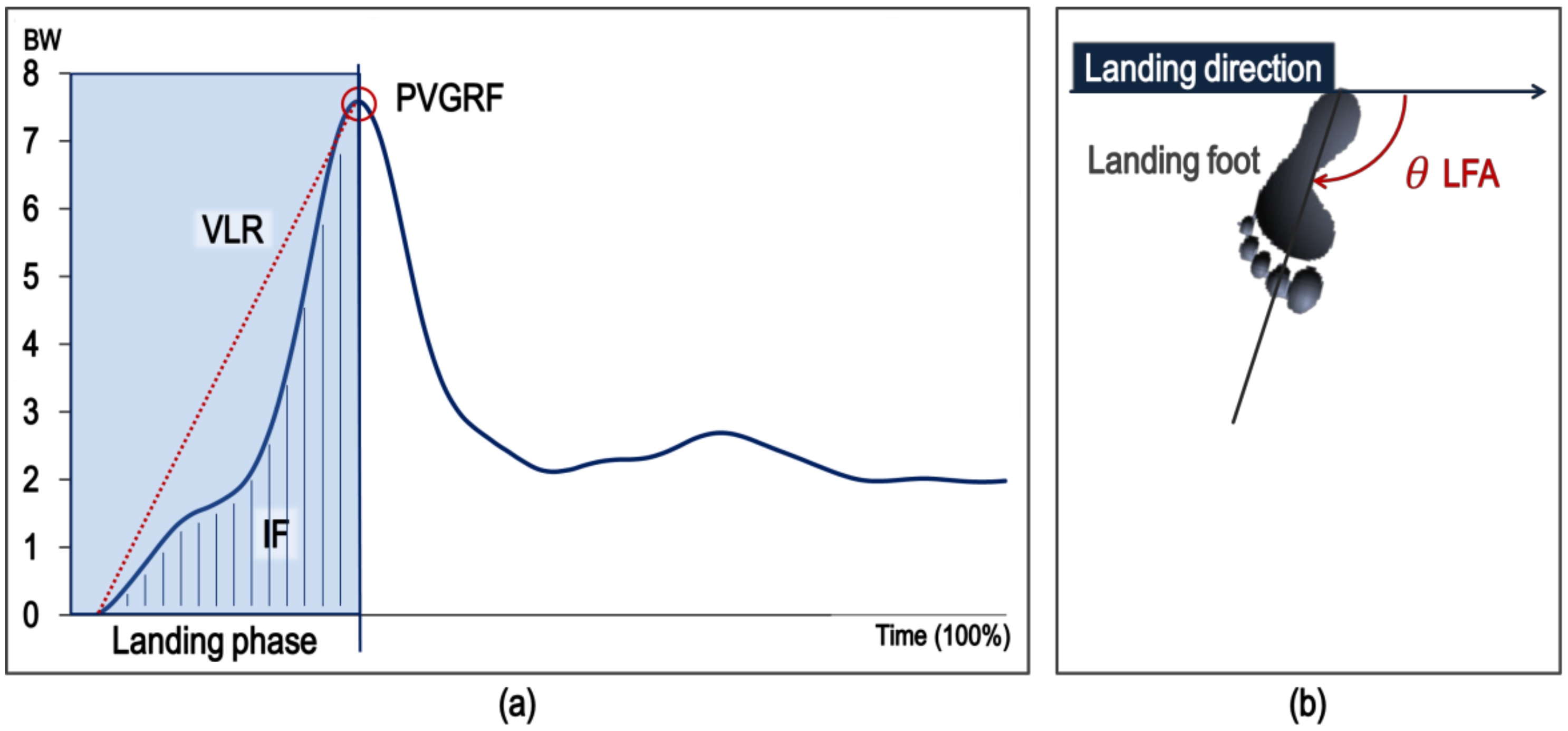Medicina 57 00373 g003