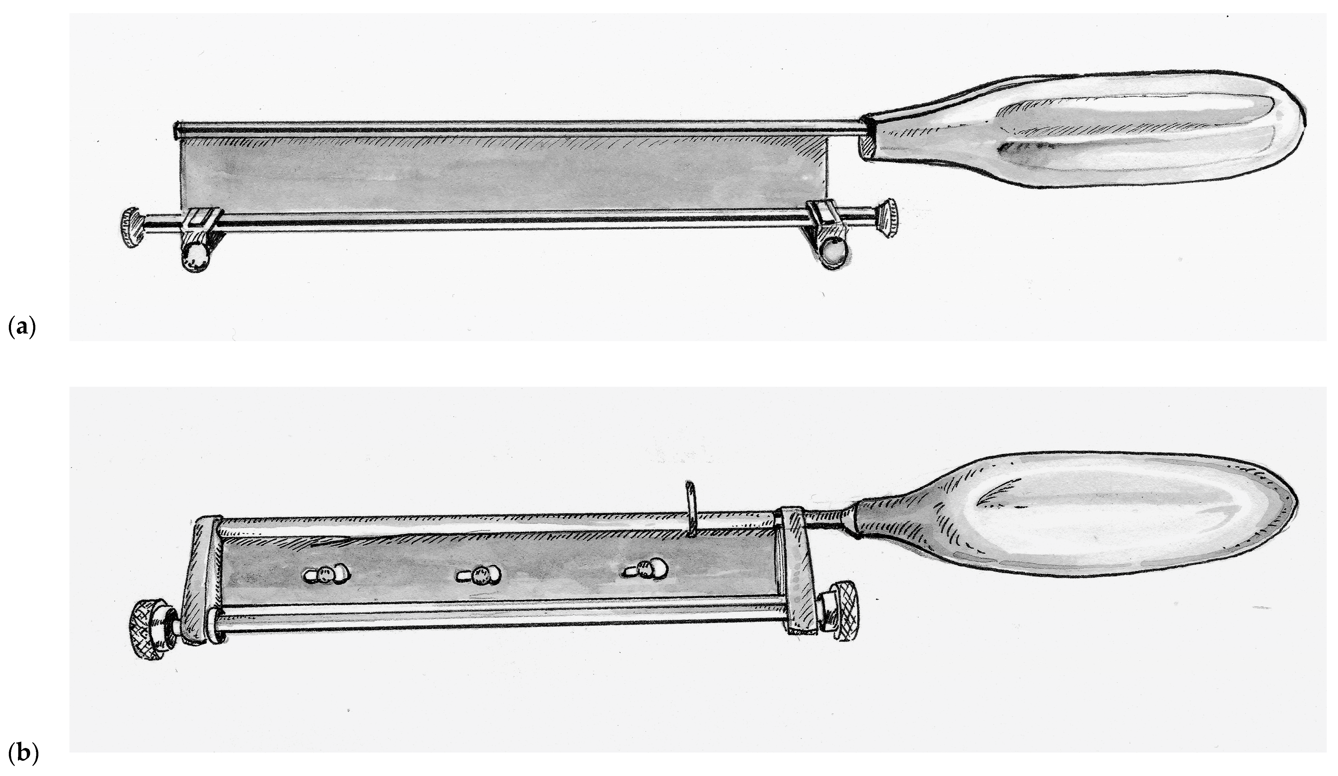 Medicina 57 00380 g002