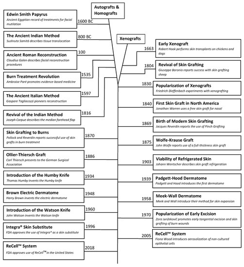 Medicina Free FullText A Narrative Review of the History of Skin Grafting in Burn Care