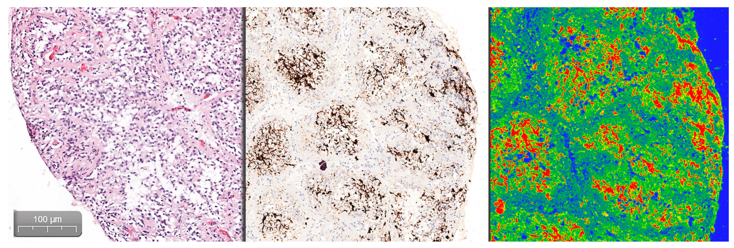 Medicina 57 00383 g002