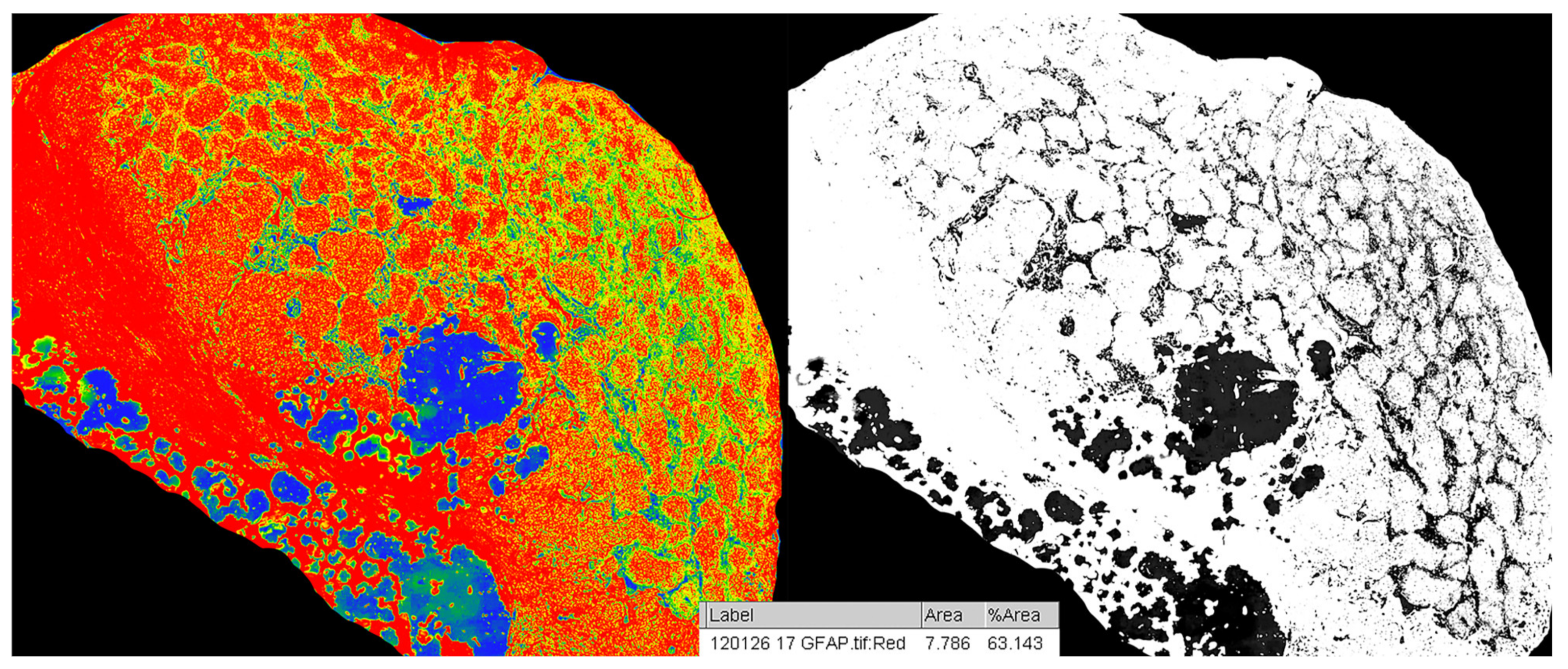 Medicina 57 00383 g003