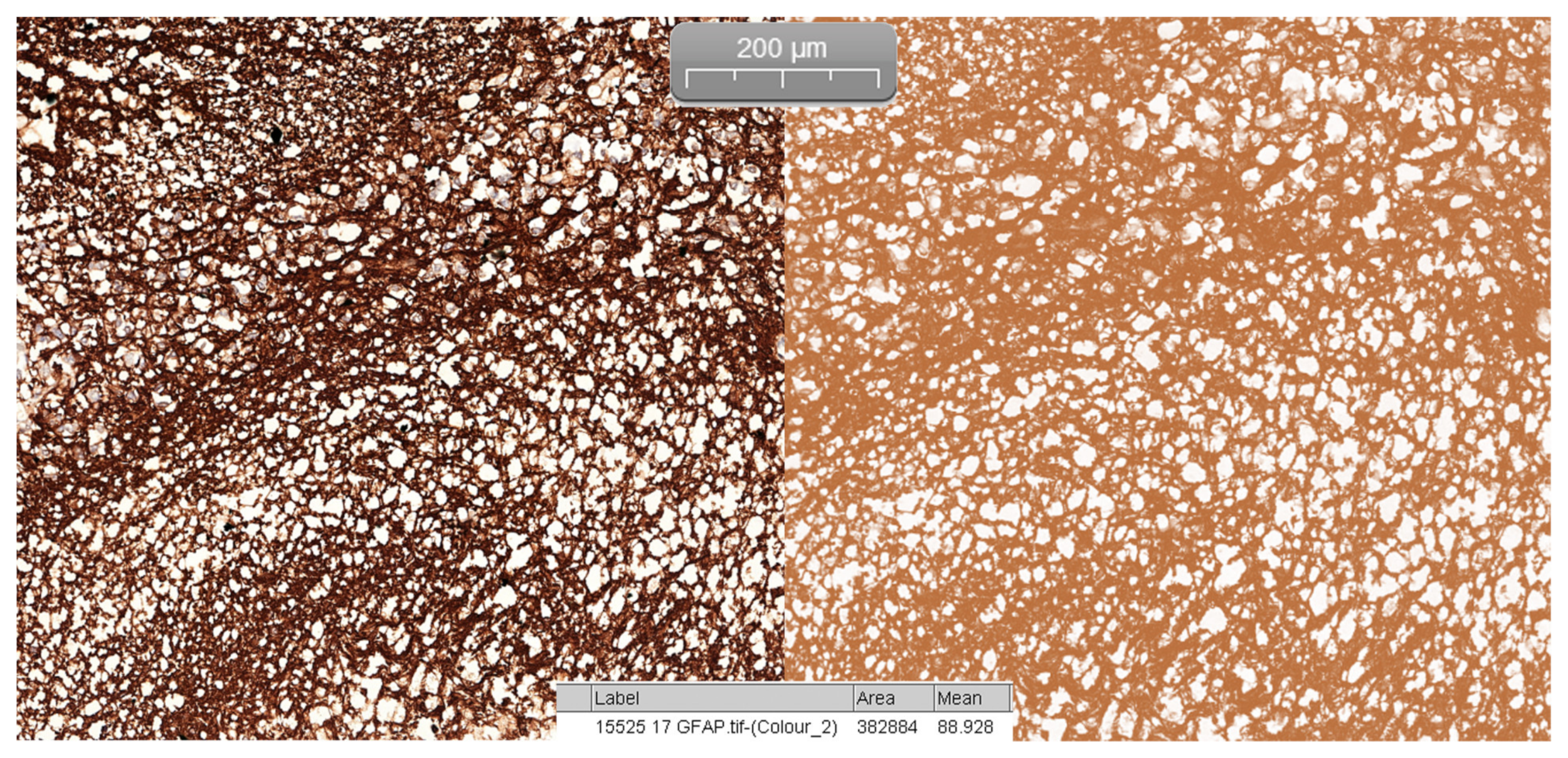 Medicina 57 00383 g004