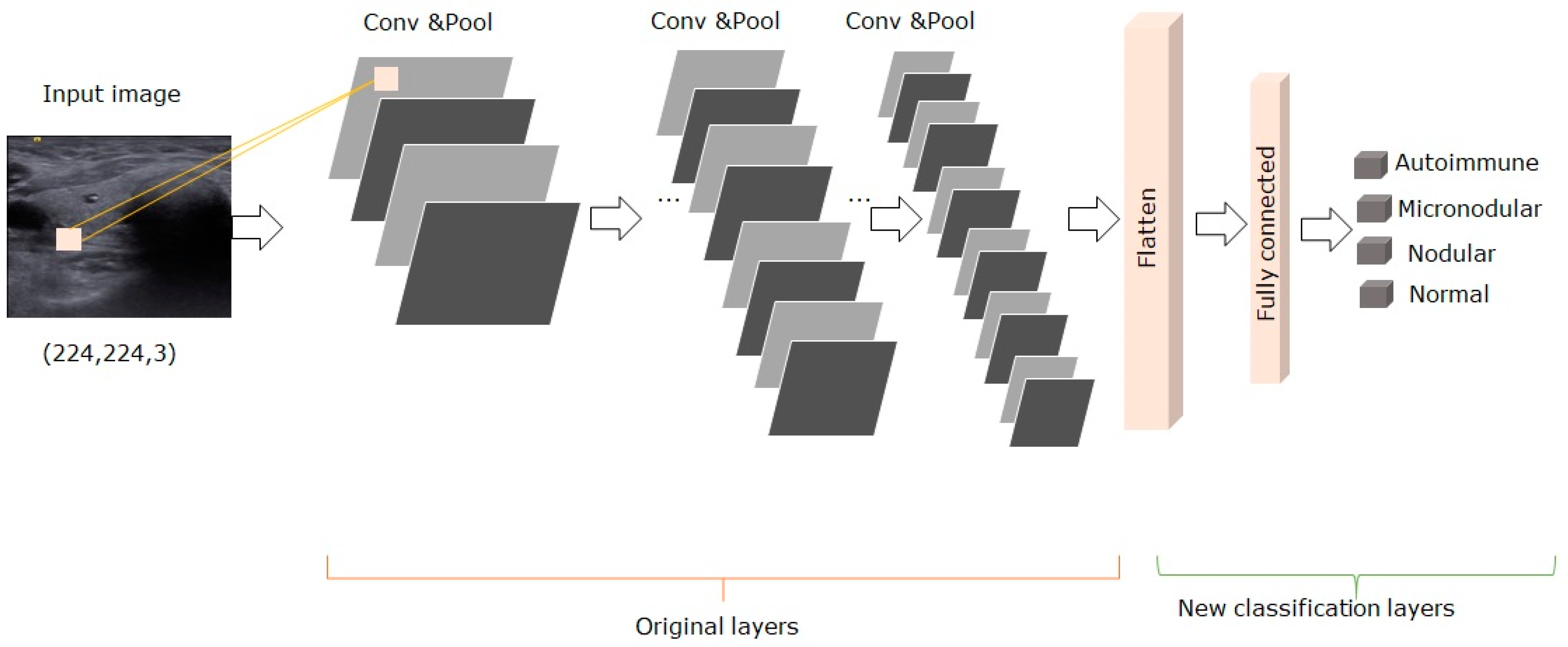 Medicina 57 00395 g003 Medicina 57 00395 g003