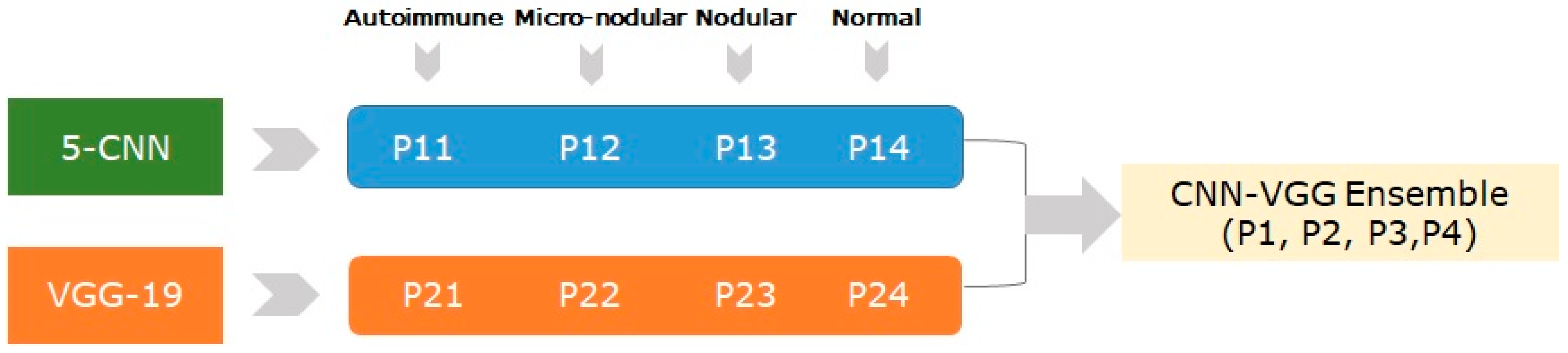 Medicina 57 00395 g004 Medicina 57 00395 g004