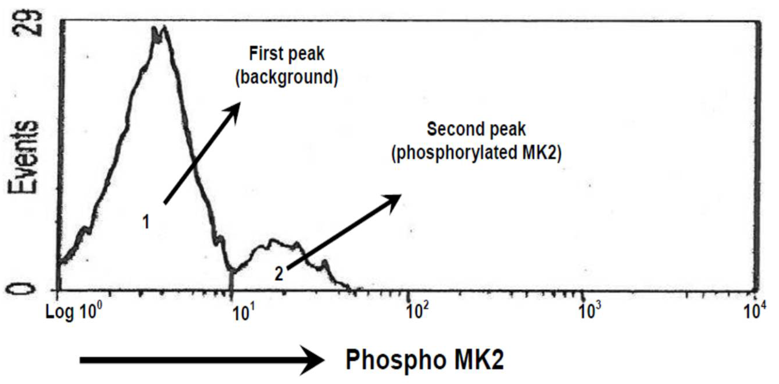 Medicina 57 00396 g002