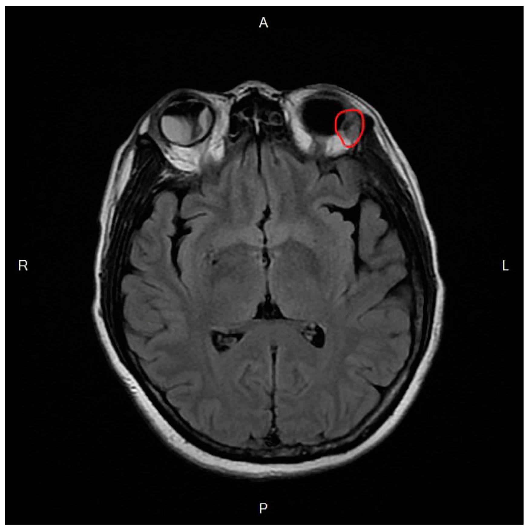 Medicina 57 00404 g002