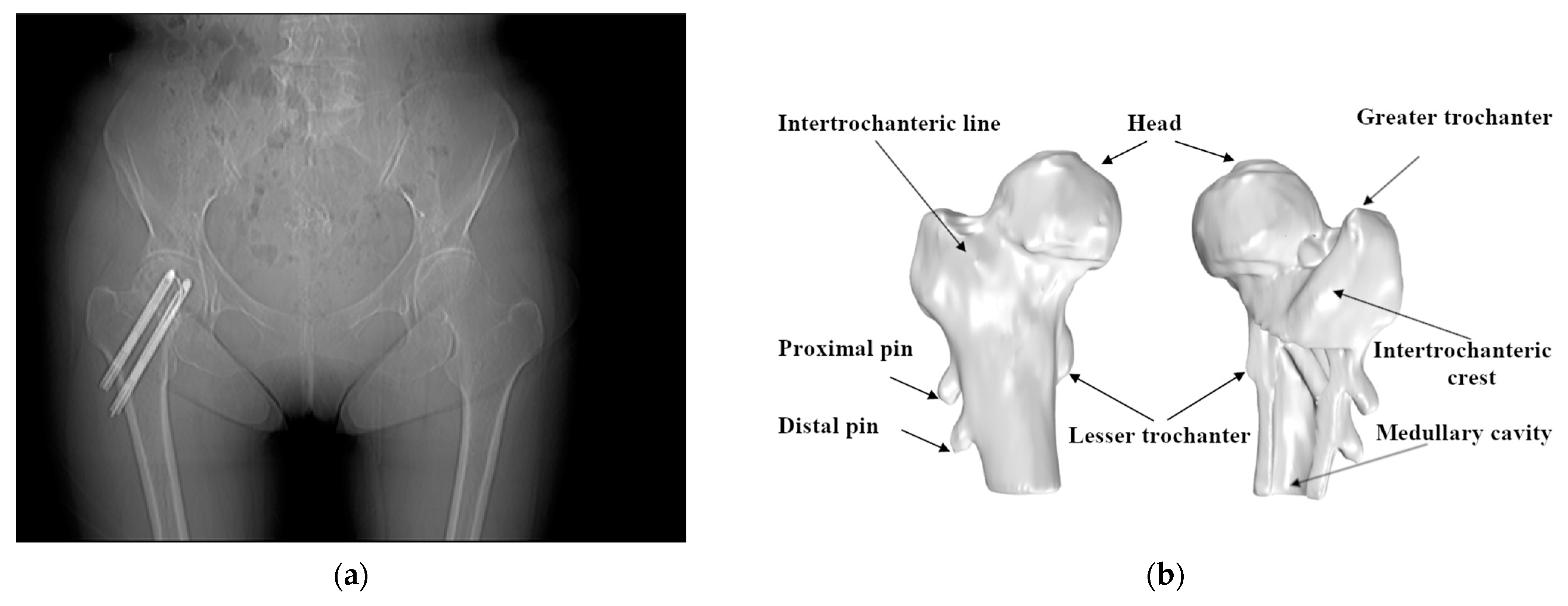 Medicina 57 00406 g002