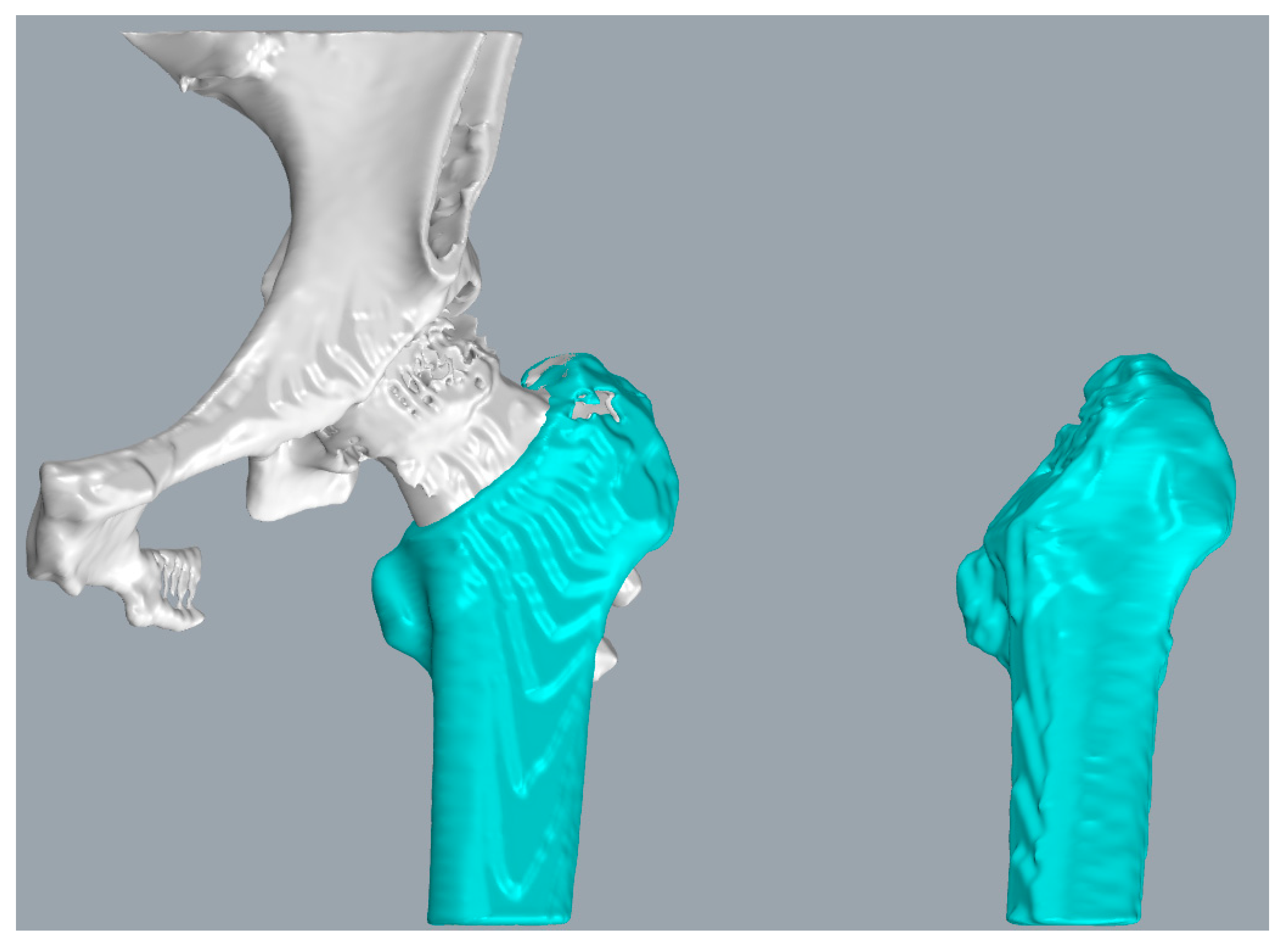 Medicina 57 00406 g004