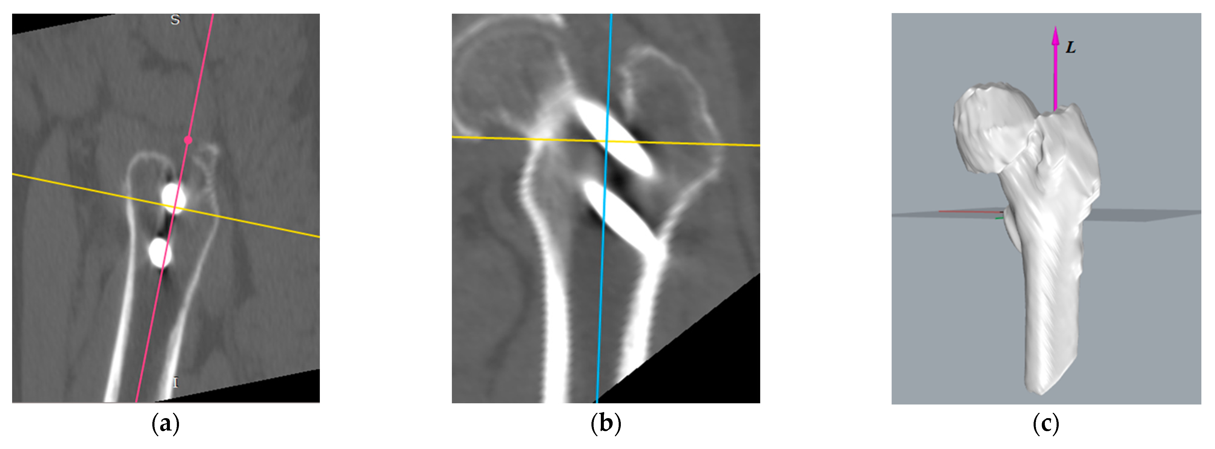 Medicina 57 00406 g009