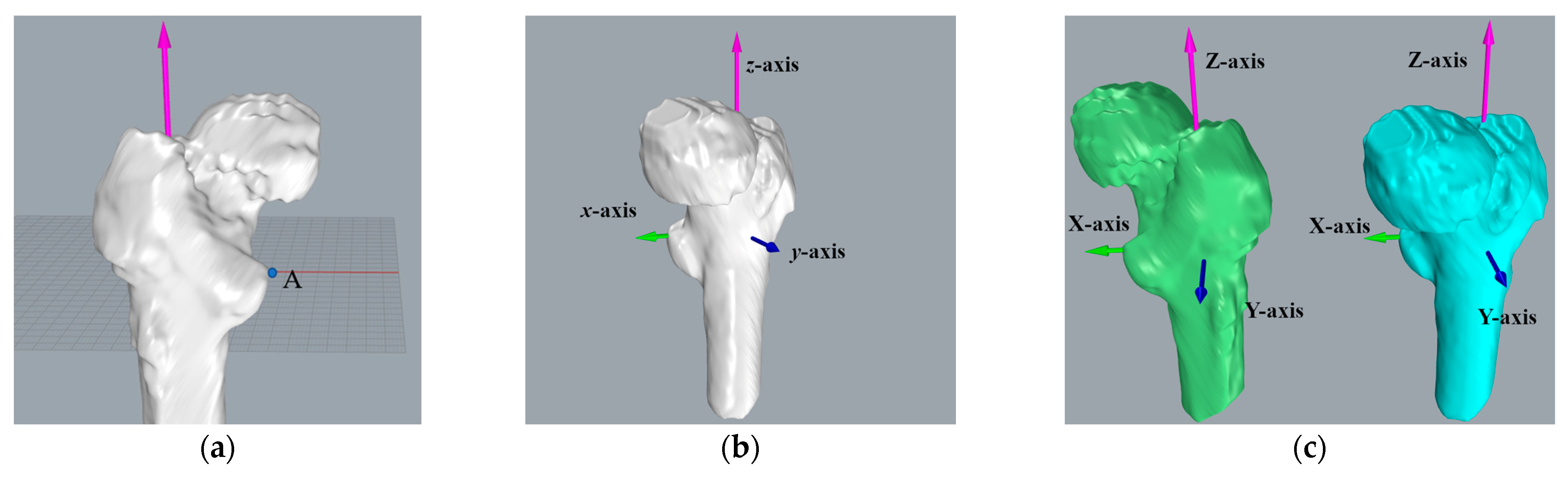 Medicina 57 00406 g010