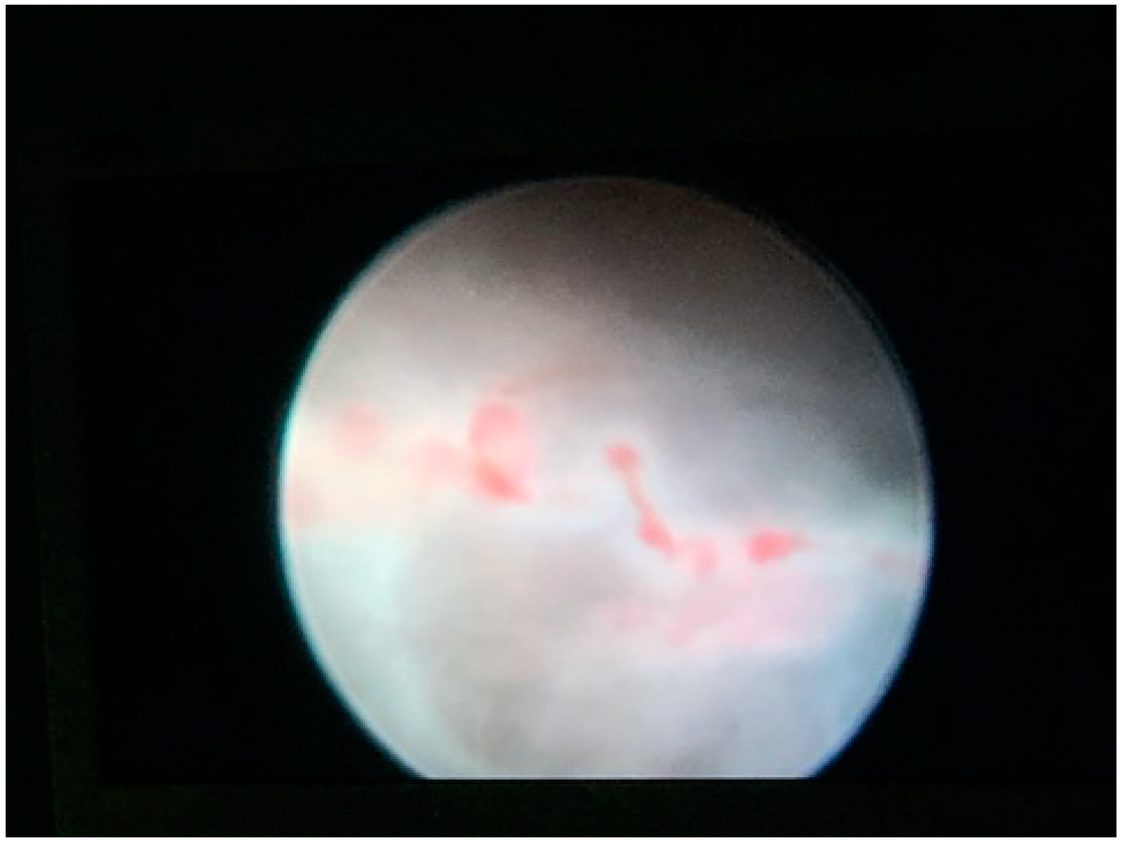 Medicina 57 00411 g002