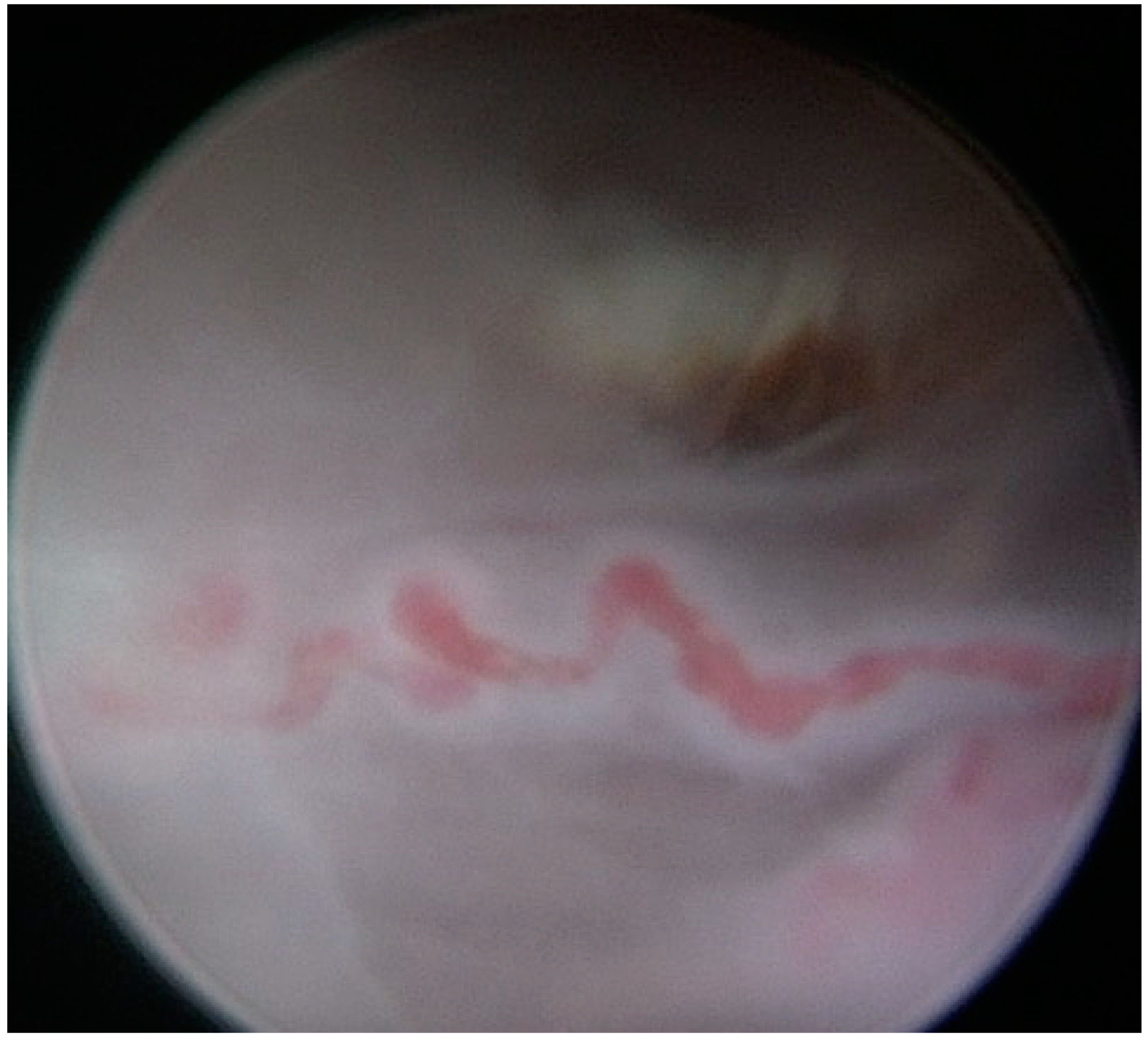 Medicina 57 00411 g003