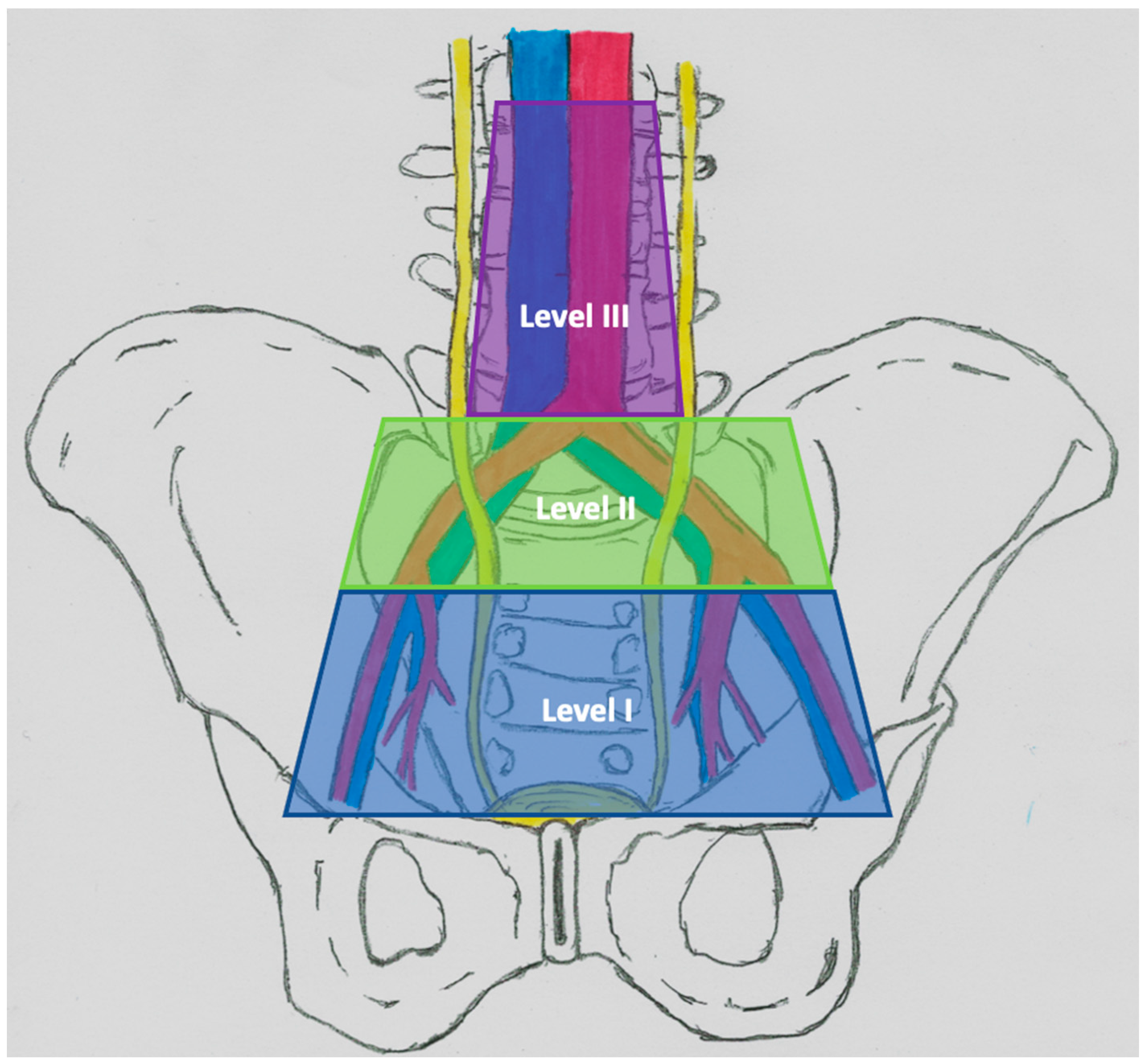Medicina 57 00415 g001
