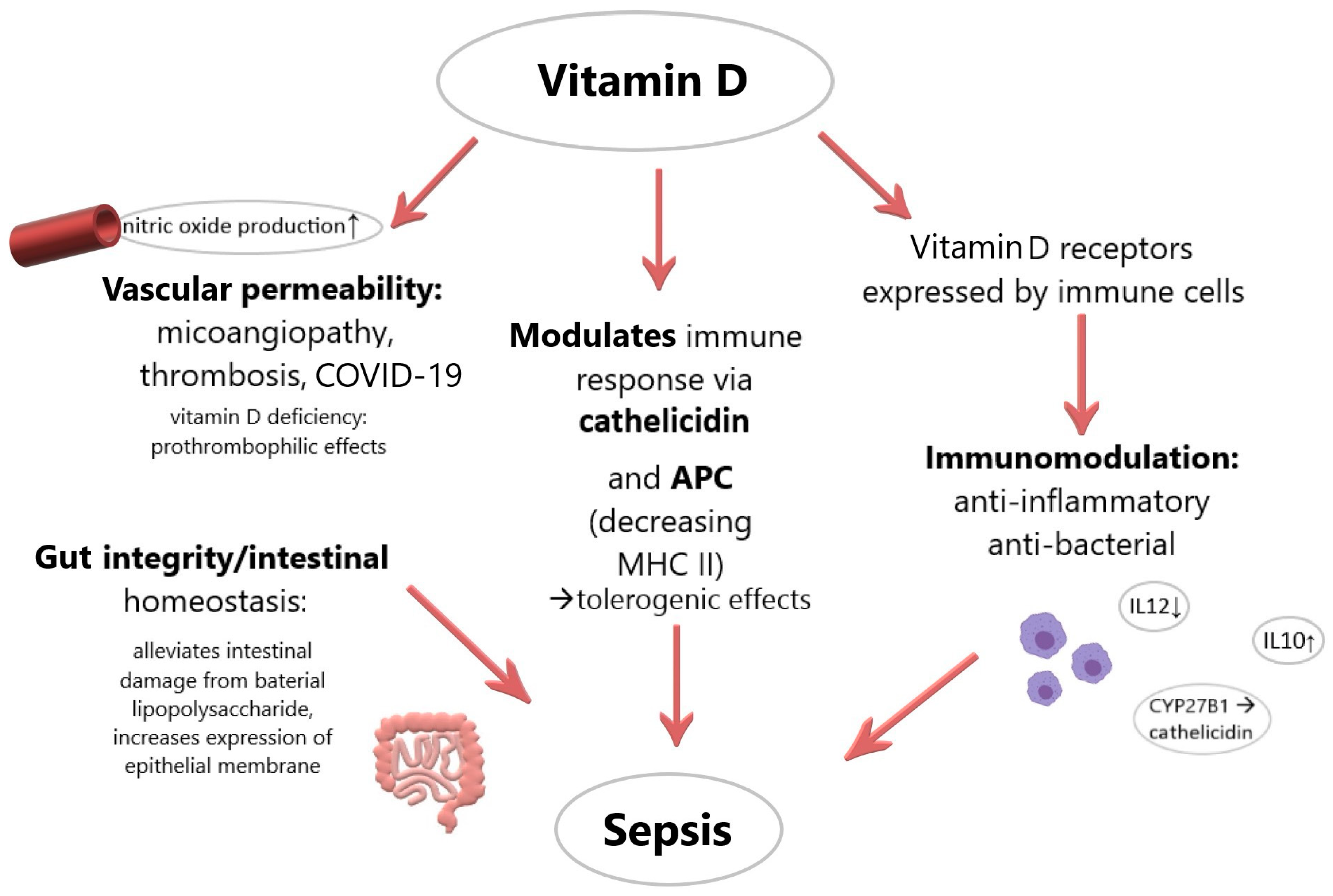 Medicina 57 00419 g001